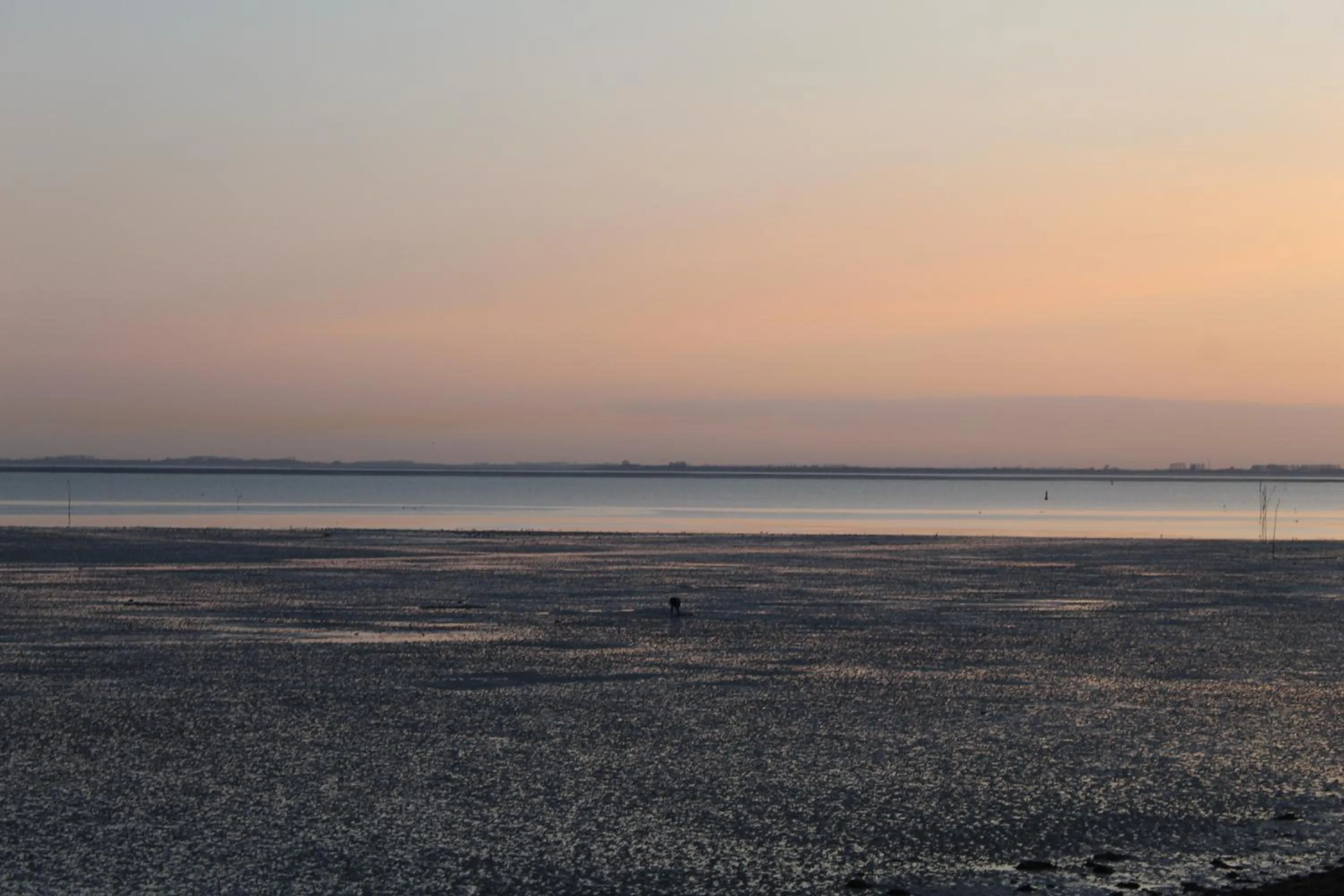 Hotel Brasserie Smits