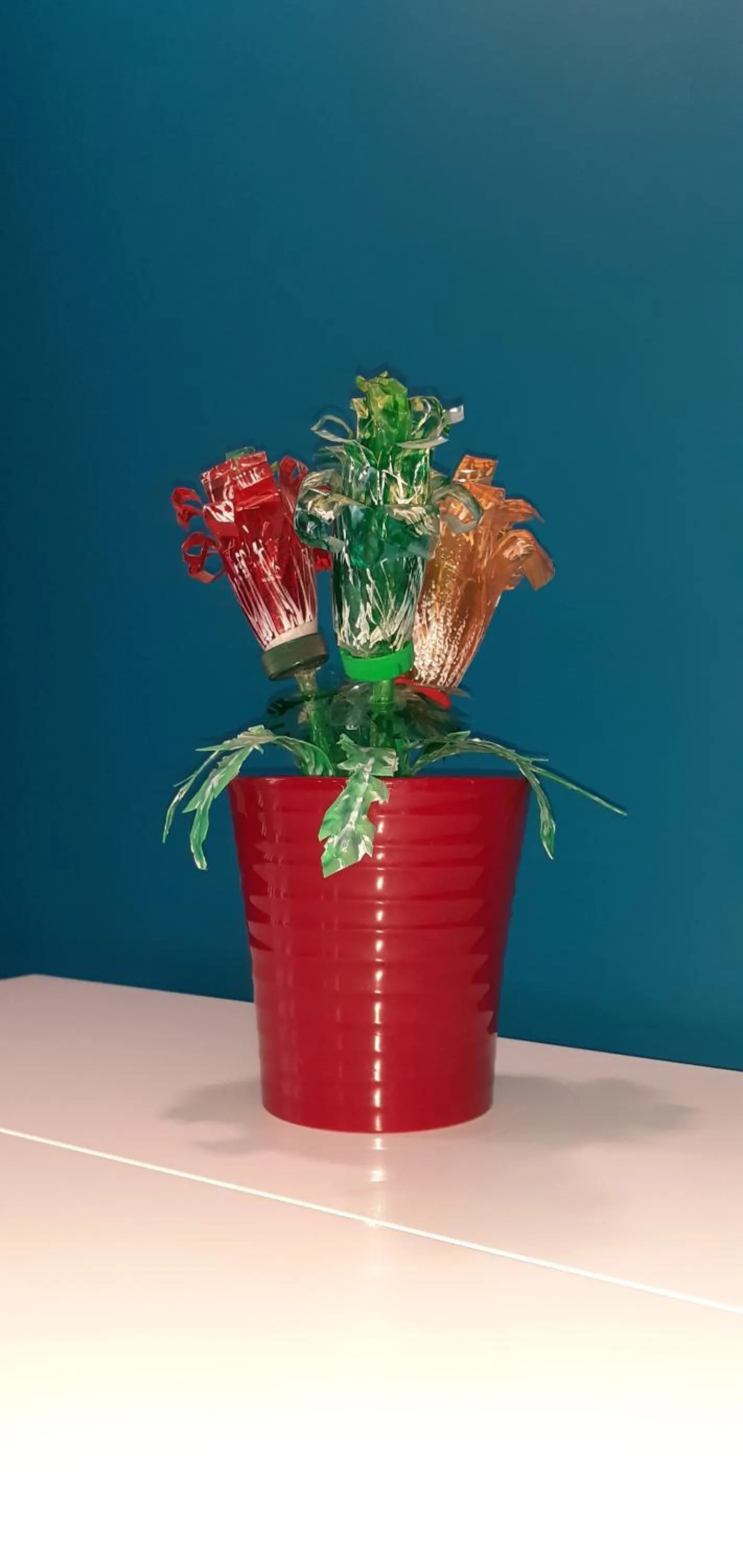 B&B Stella Scugnizza