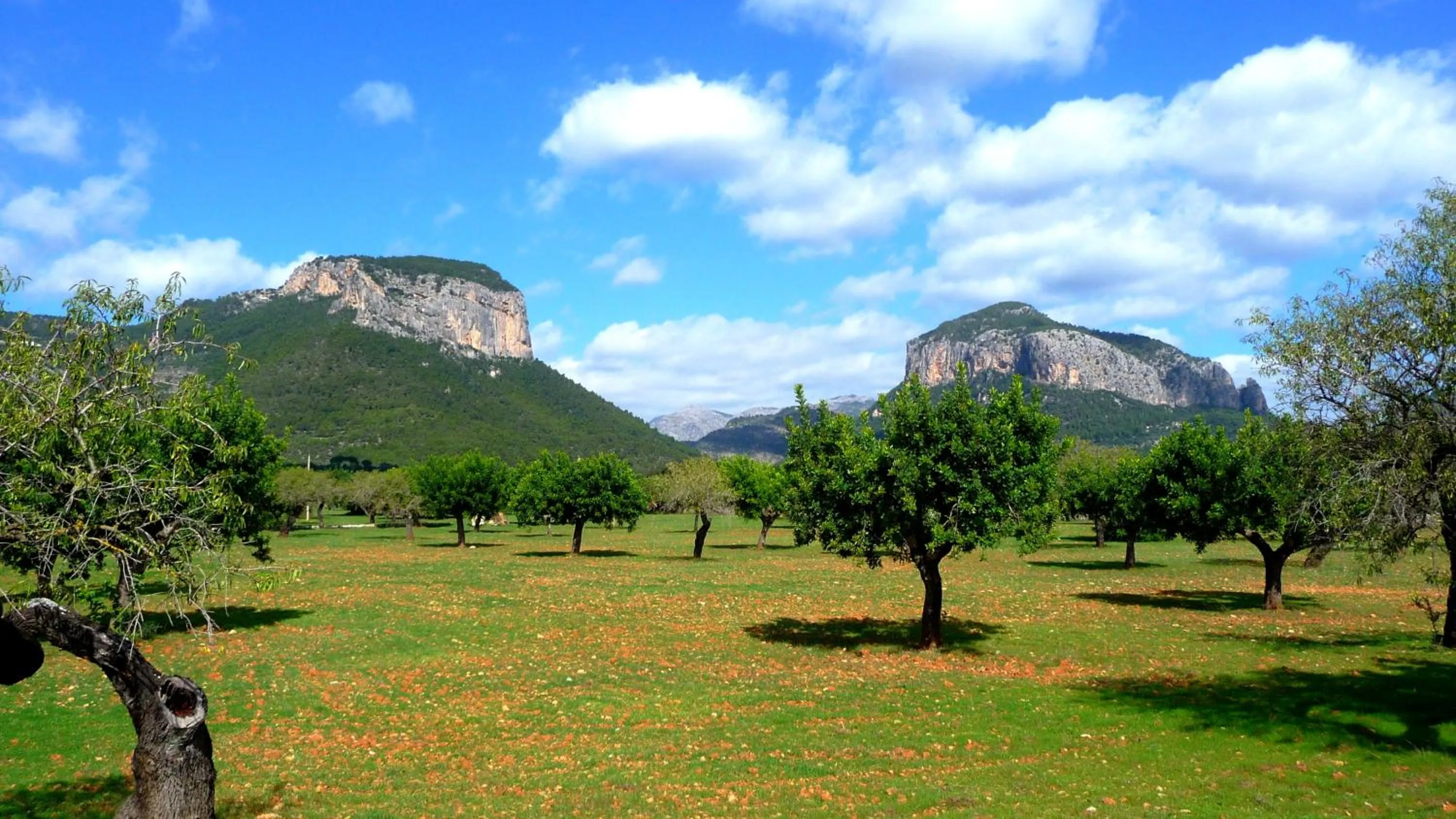 Spring in Petit Hotel Alaro