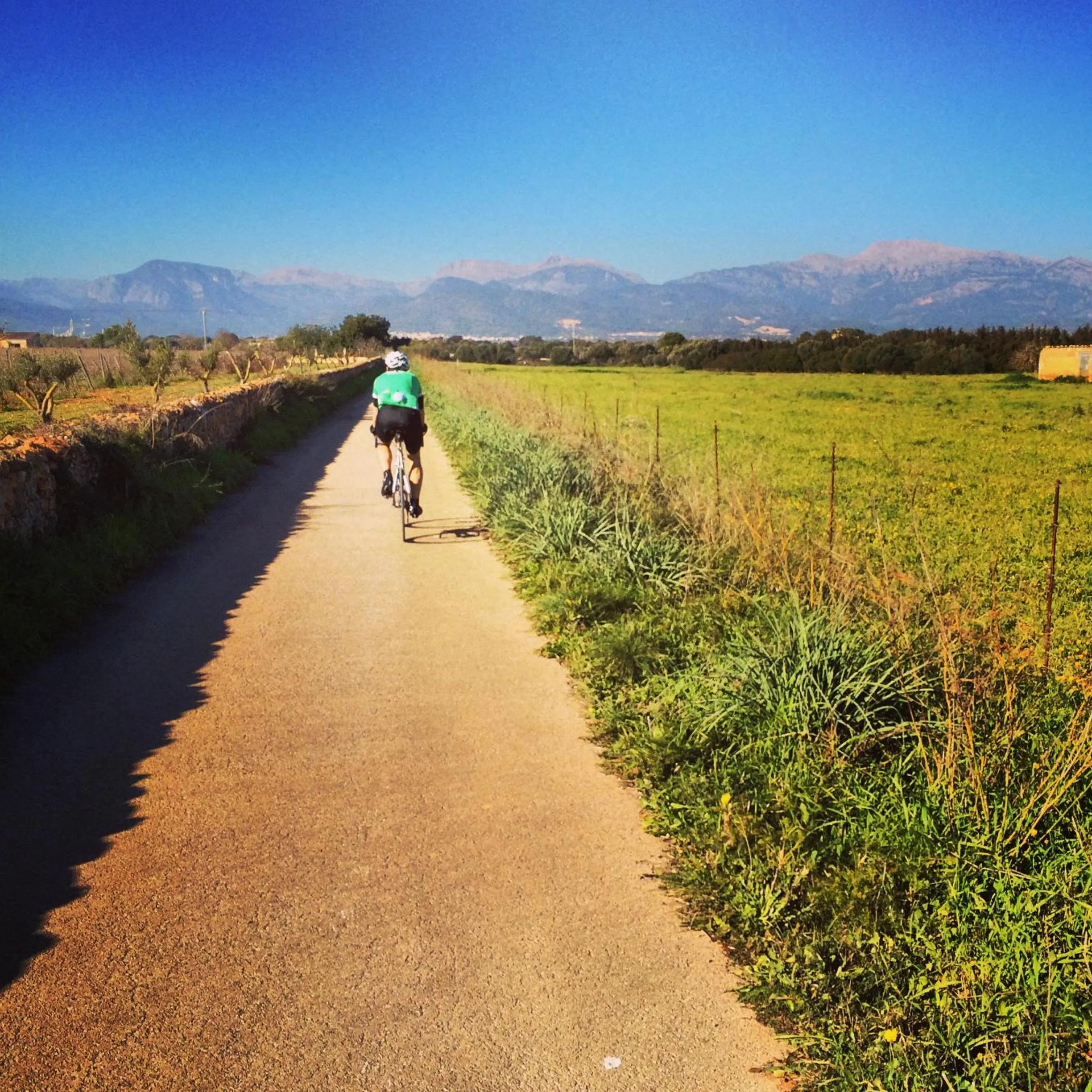 Cycling in Petit Hotel Alaro