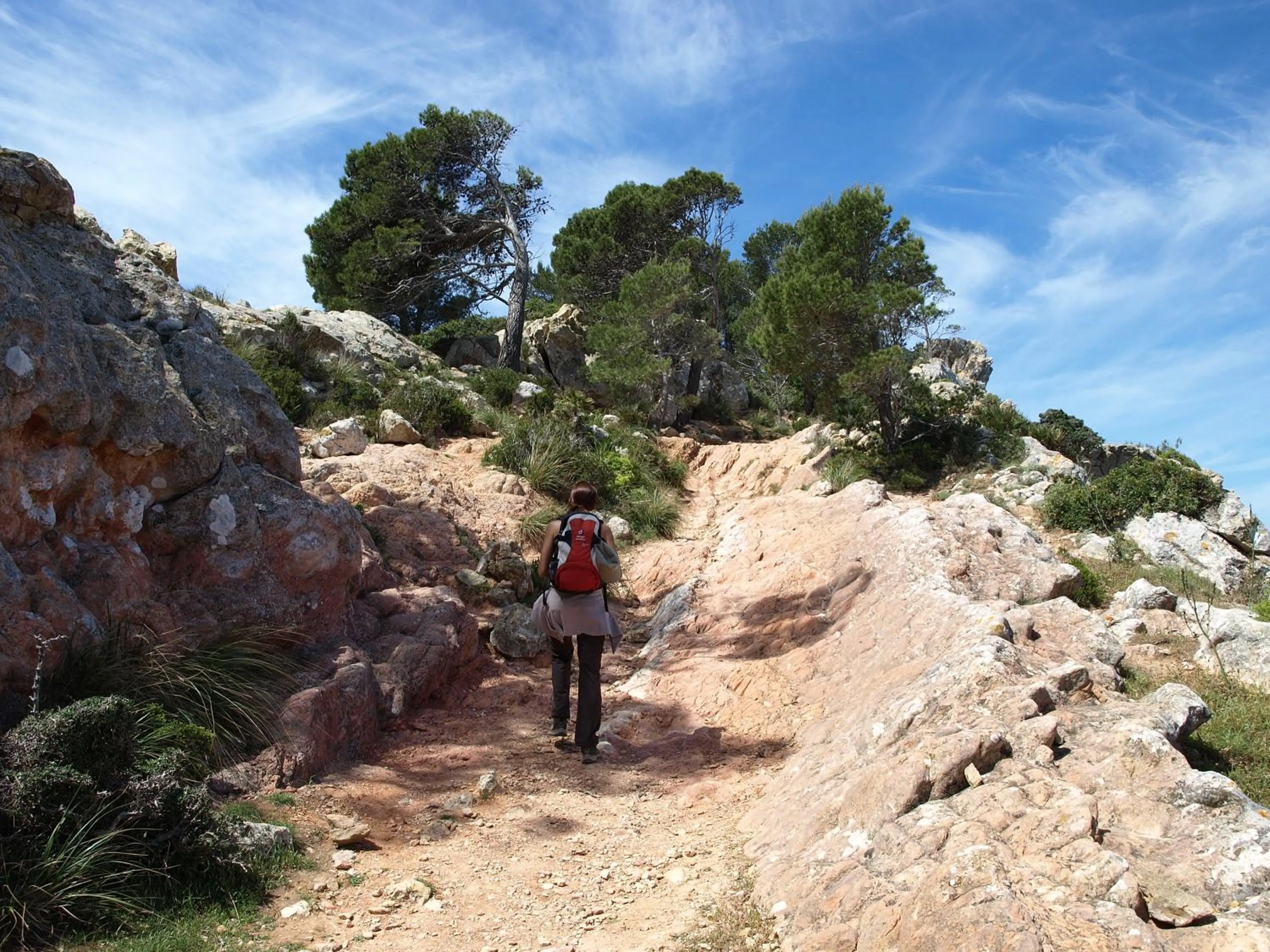 People in Petit Hotel Alaro