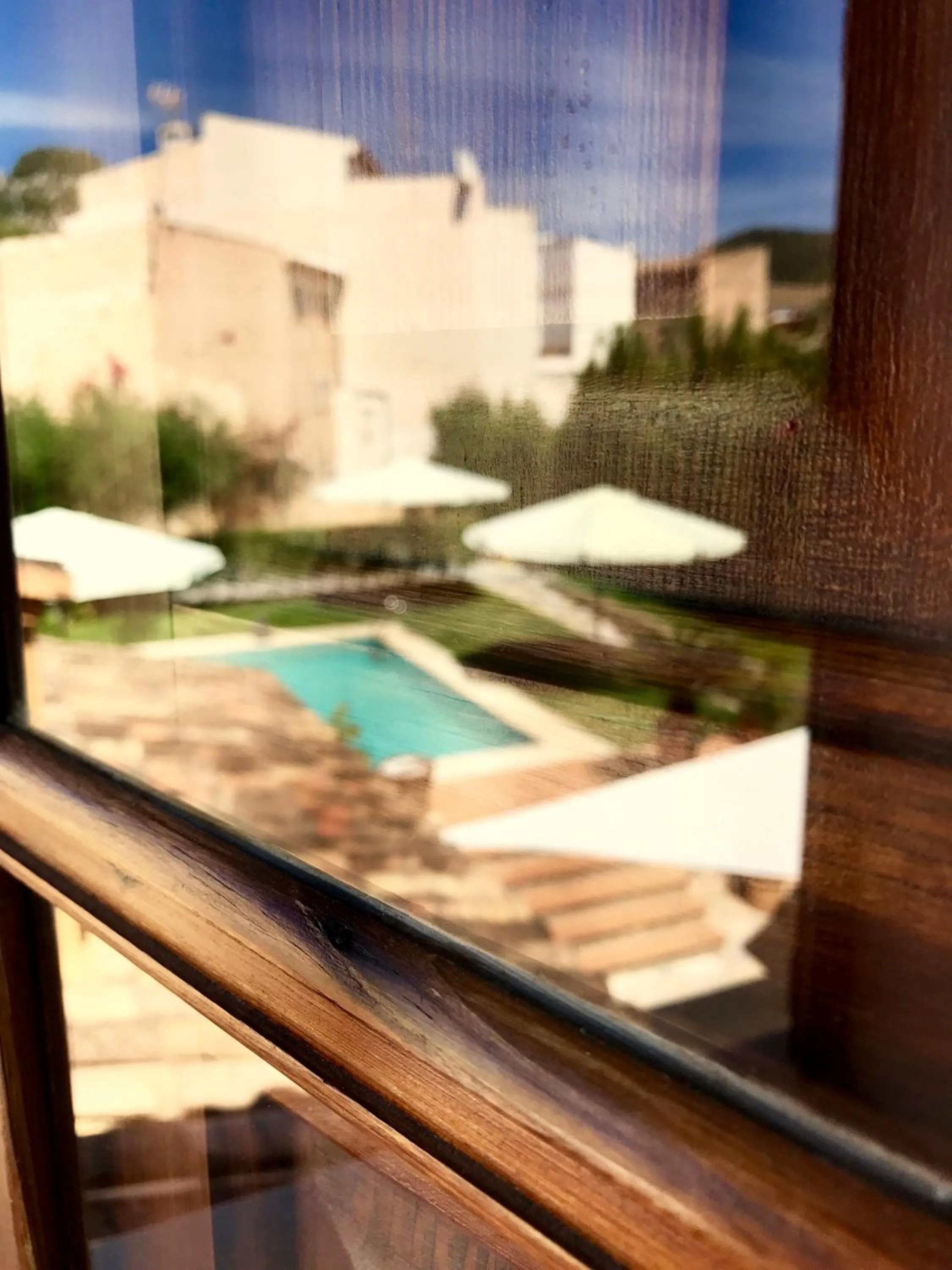 Pool view in Petit Hotel Alaro