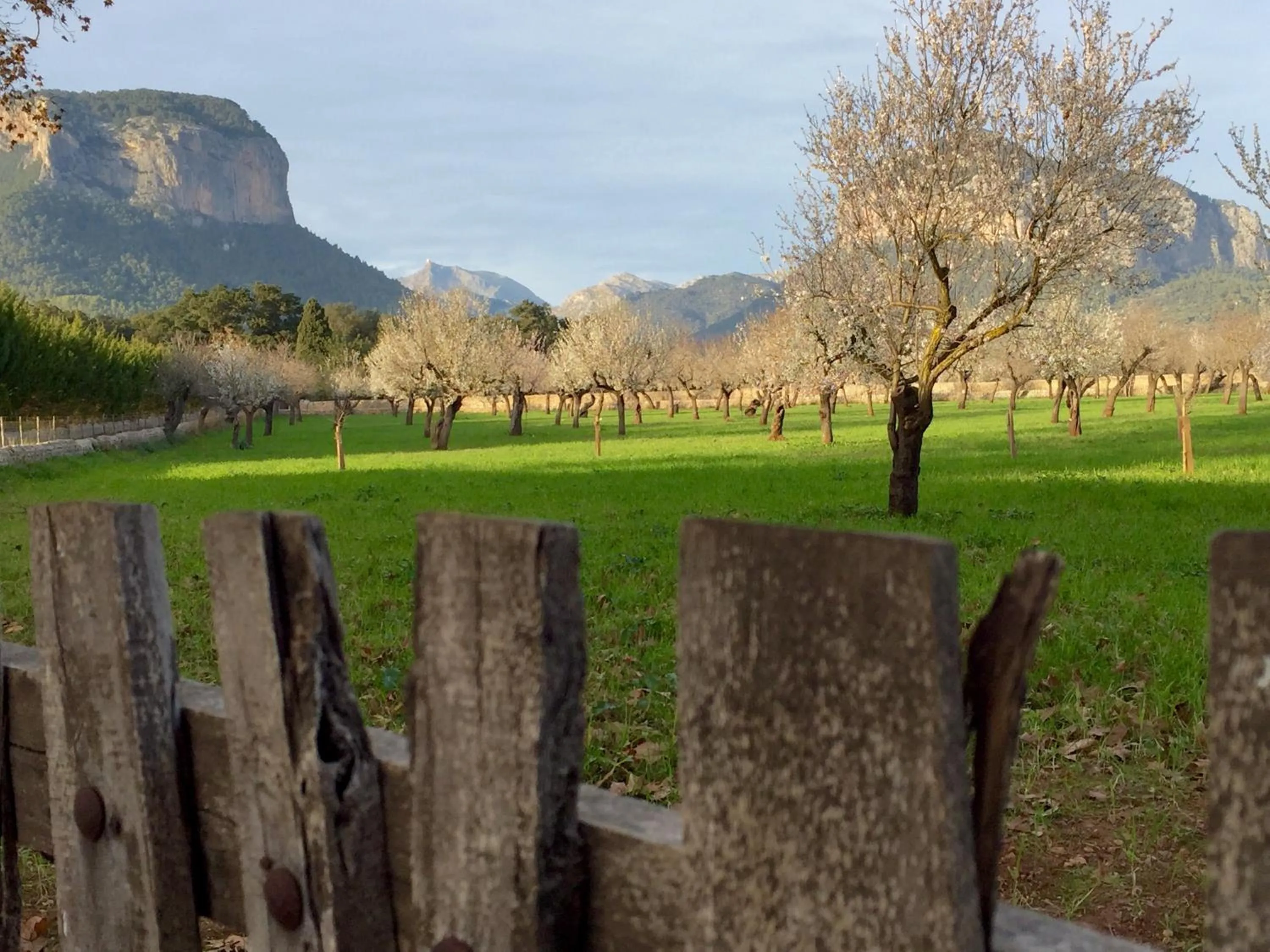 Natural landscape in Petit Hotel Alaro