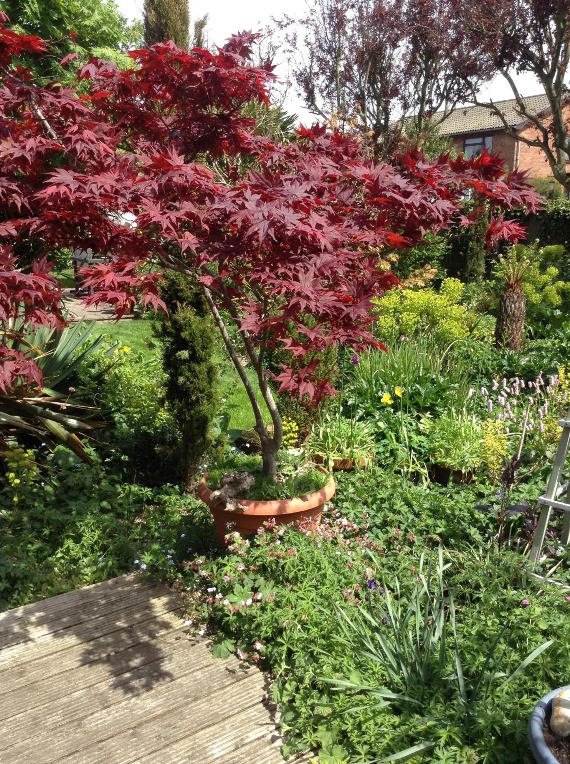 Garden in The Peels B&B