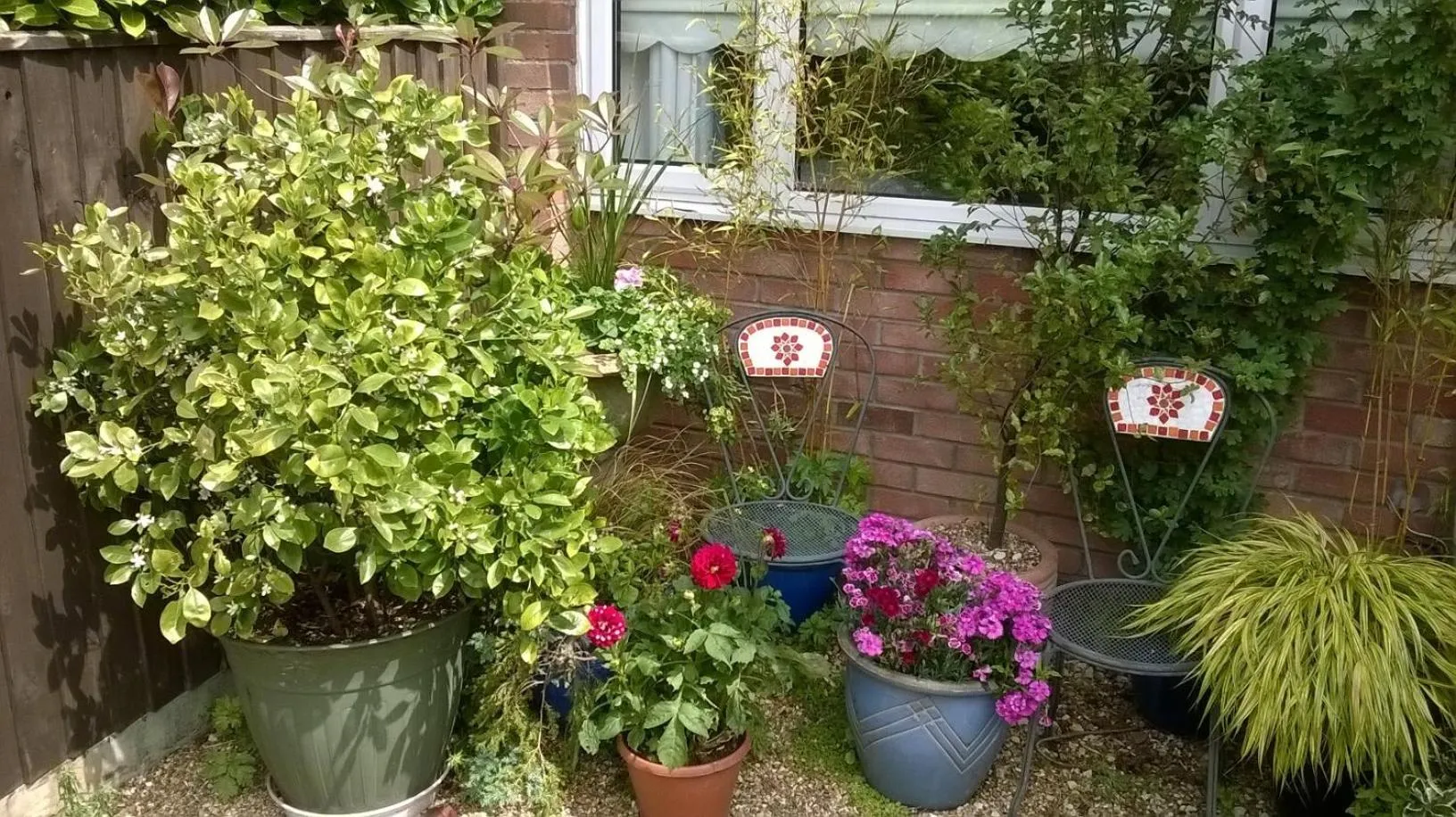 Garden in The Peels B&B