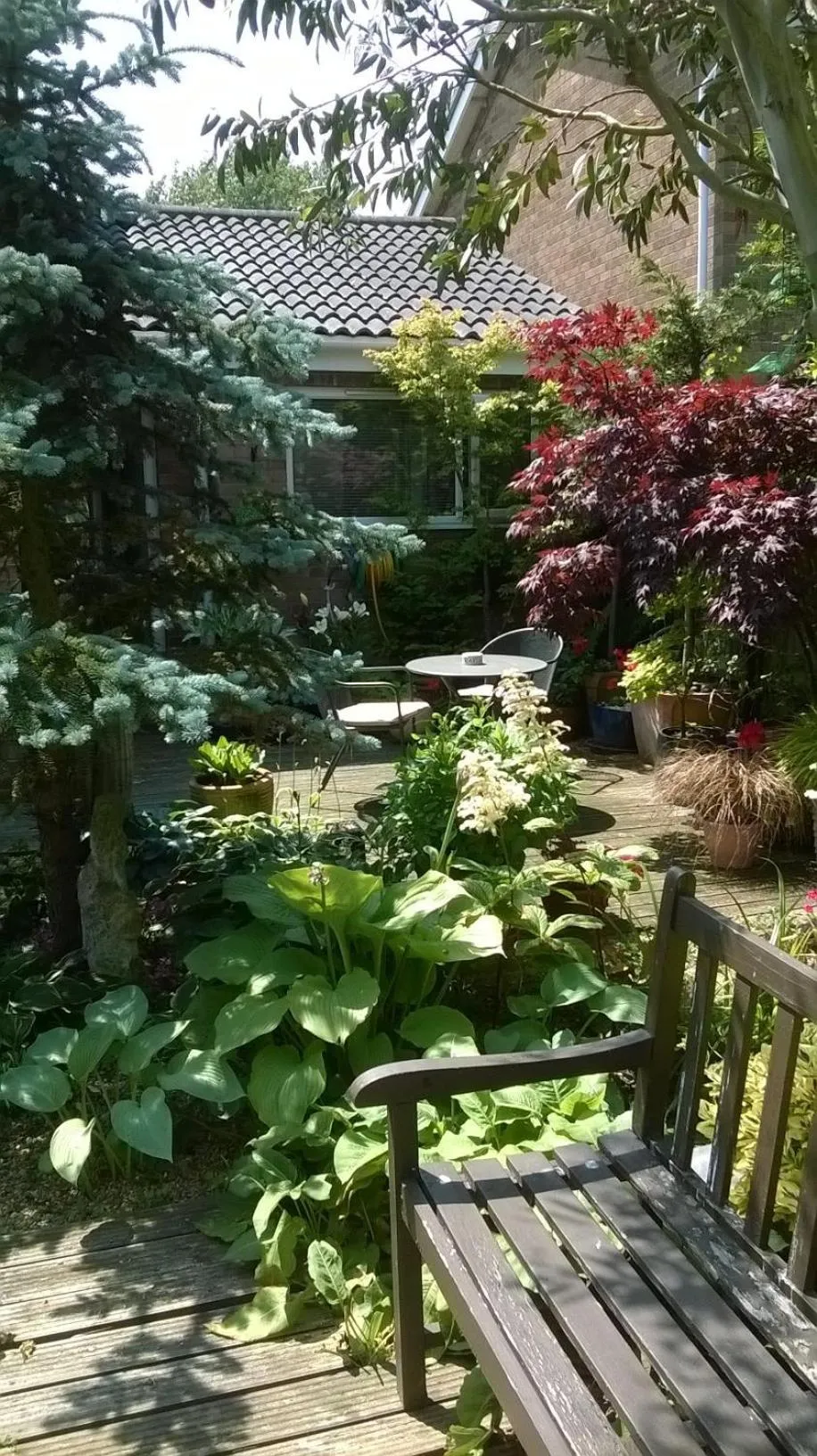 Garden in The Peels B&B