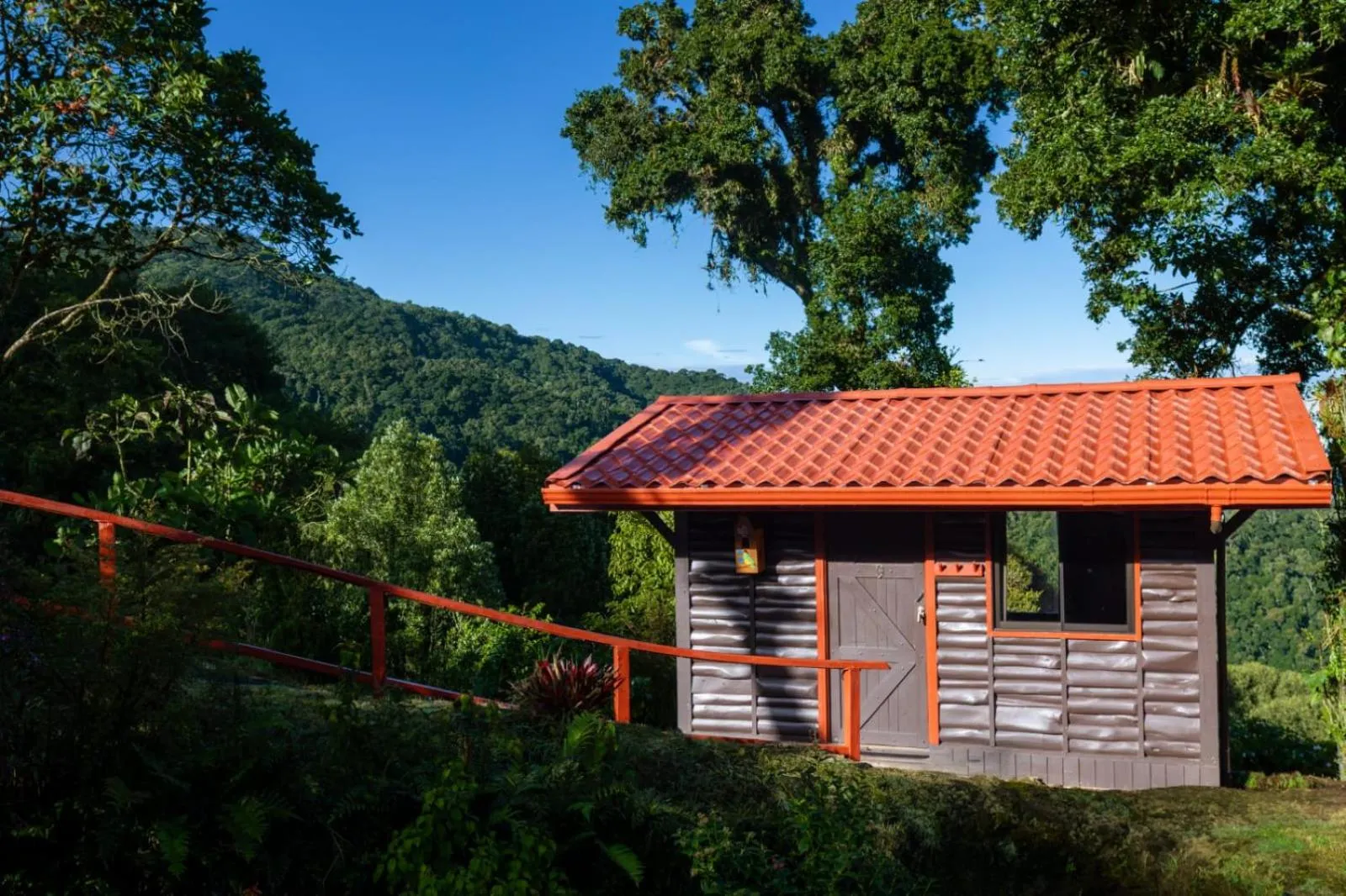 Photo of the whole room in Paraíso Quetzal Lodge