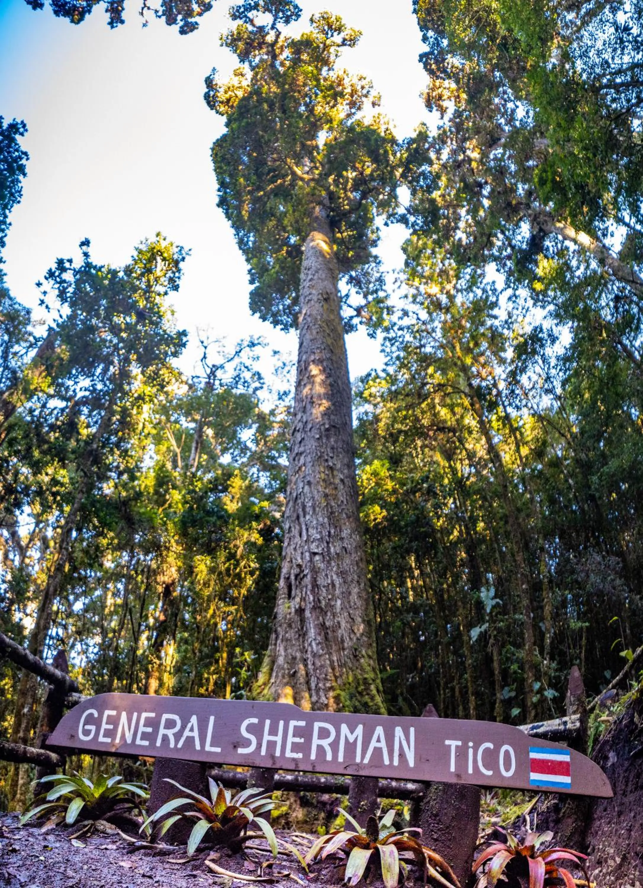 Hiking in Paraíso Quetzal Lodge