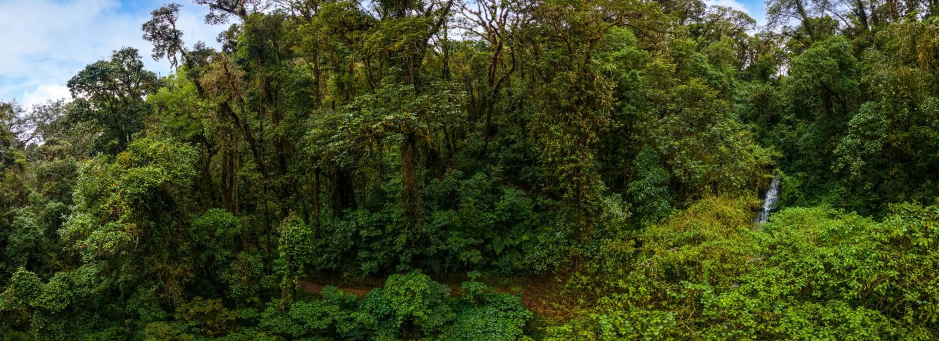 Natural landscape in Paraíso Quetzal Lodge