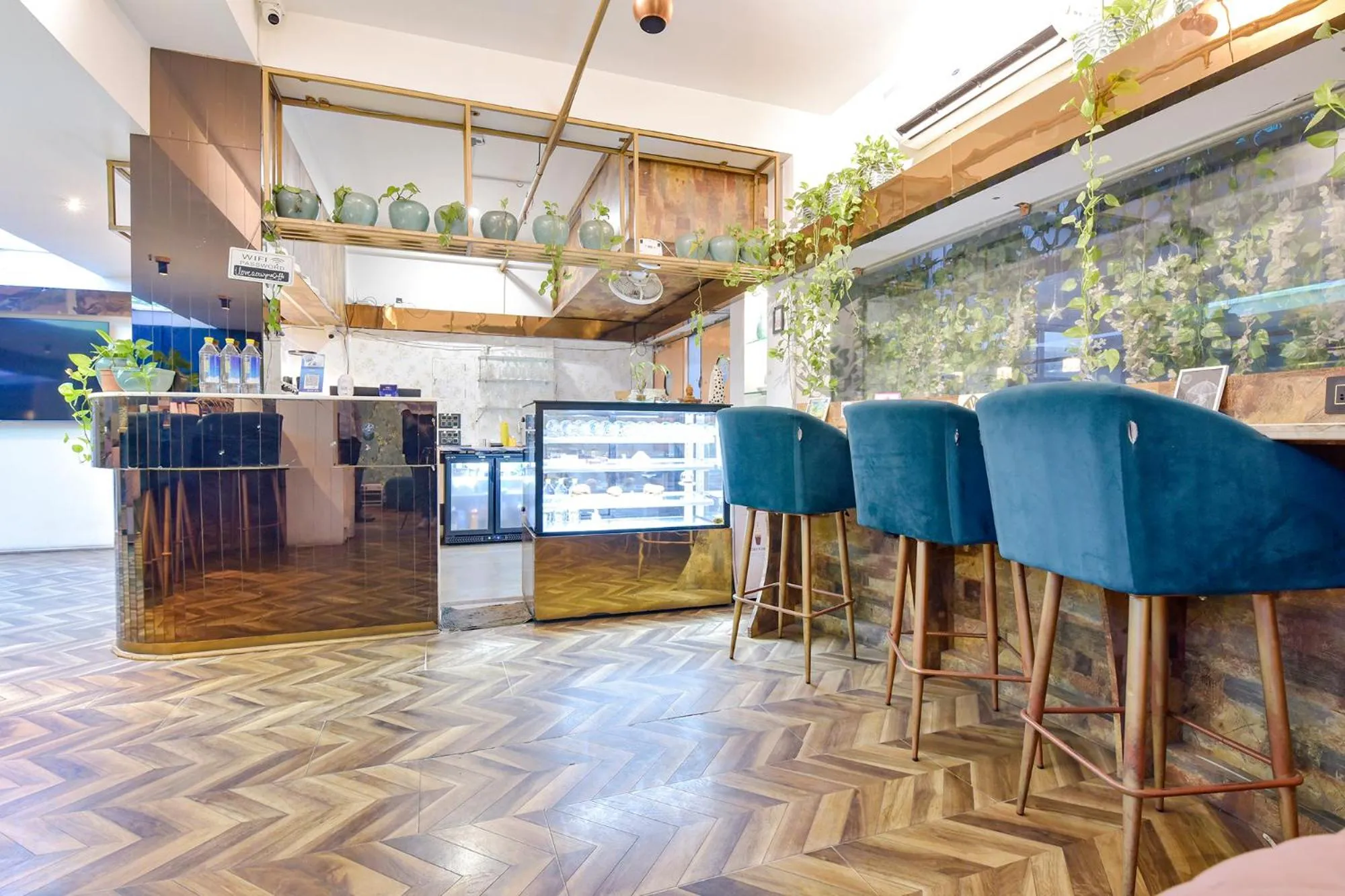 Restaurant/places to eat in FabHotel Shikha