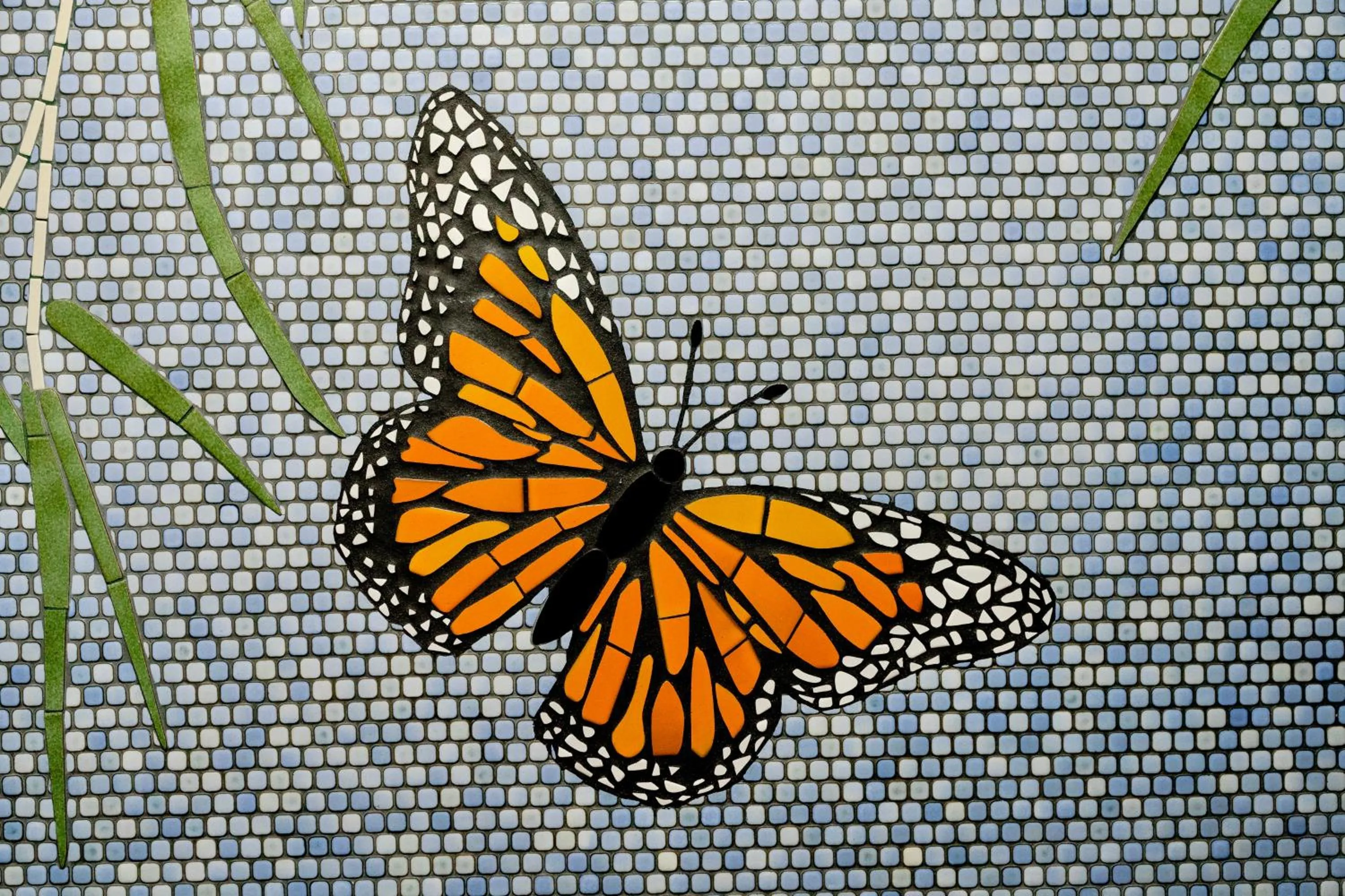 Area and facilities in Pacific Monarch Hotel