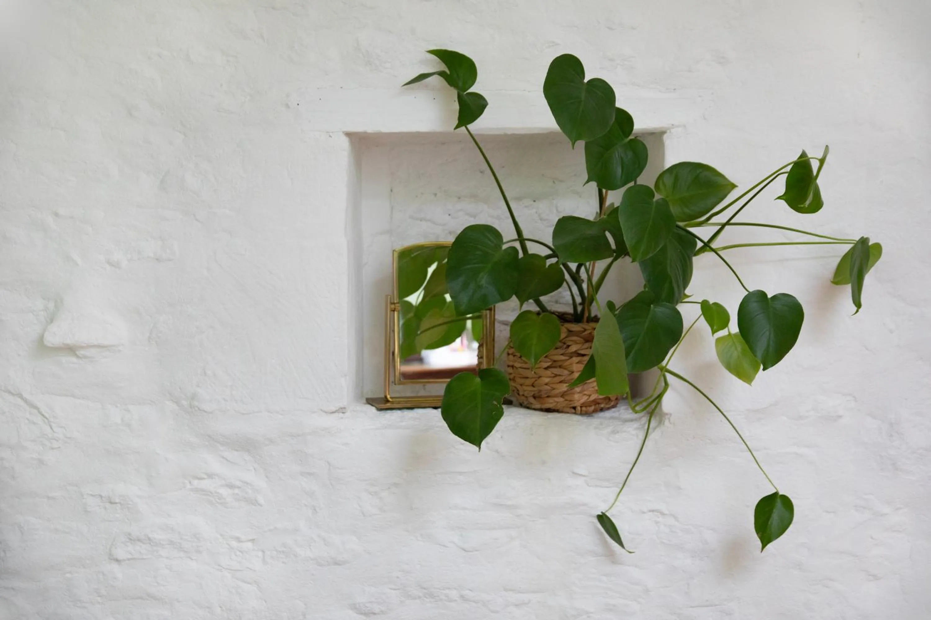 Decorative detail in Le Domaine de Villespy