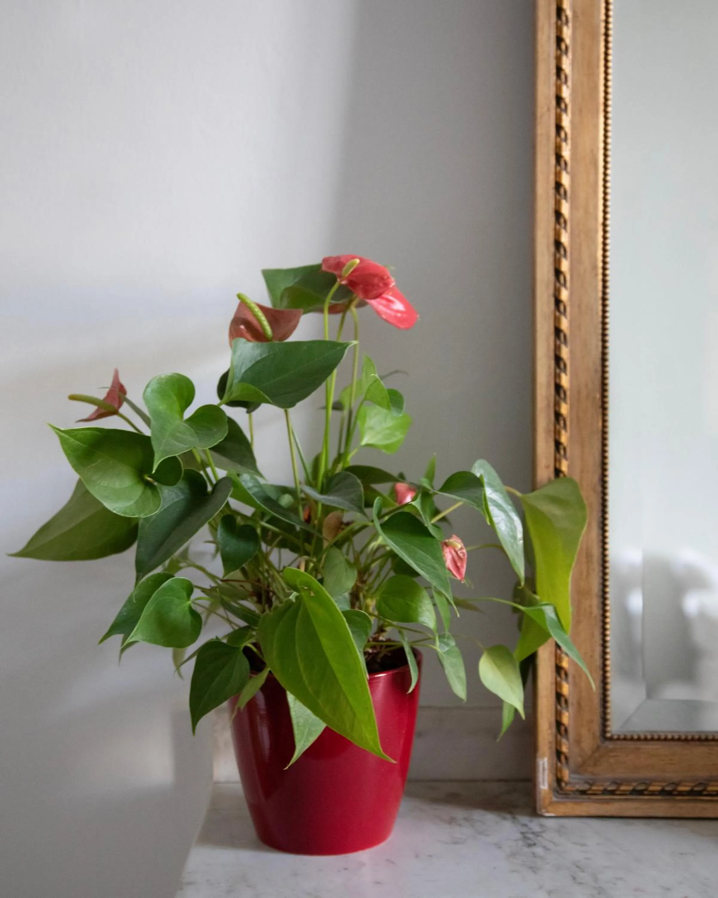 Decorative detail in Le Domaine de Villespy