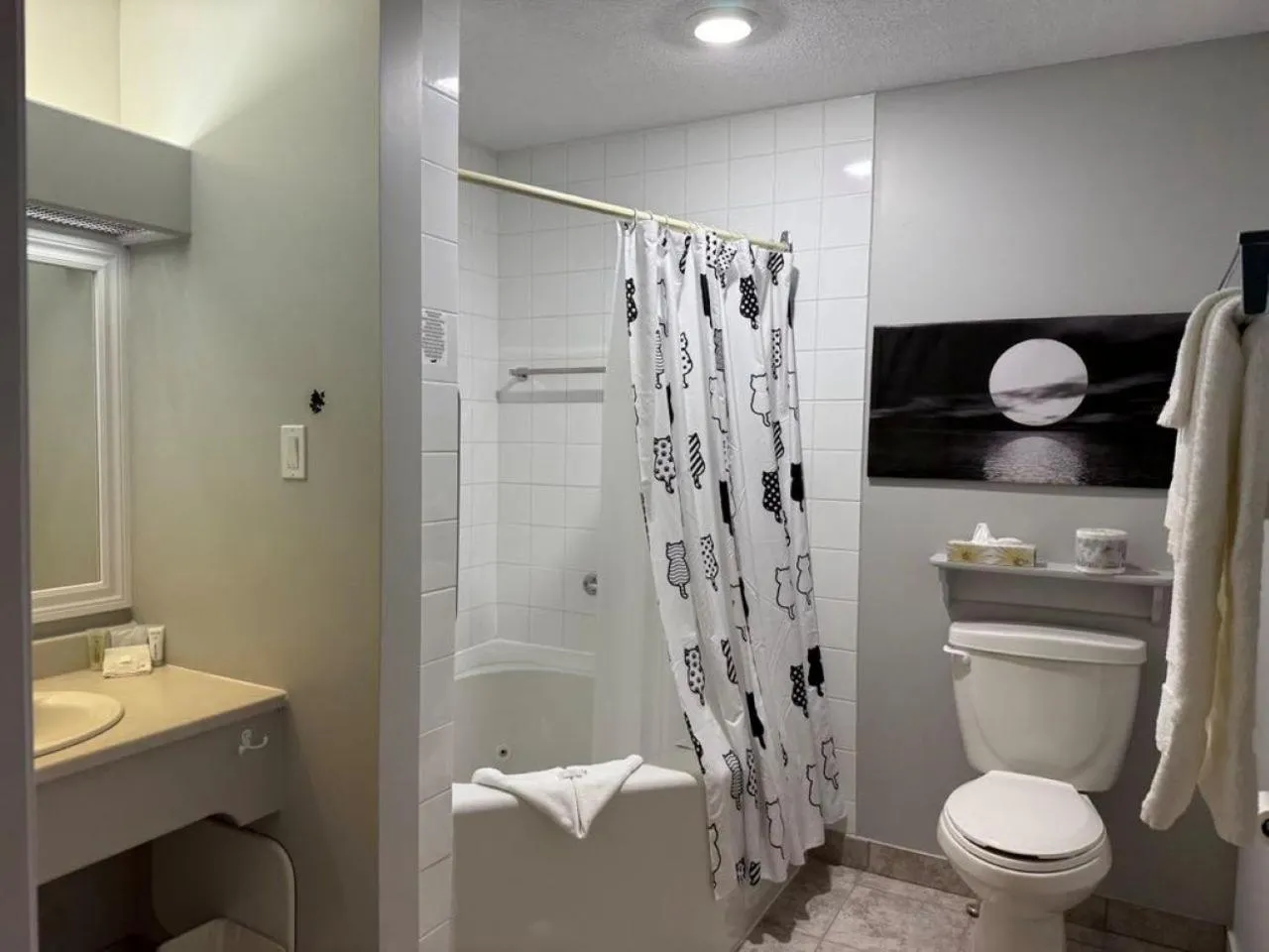 Toilet in Auberge MicKy Inc