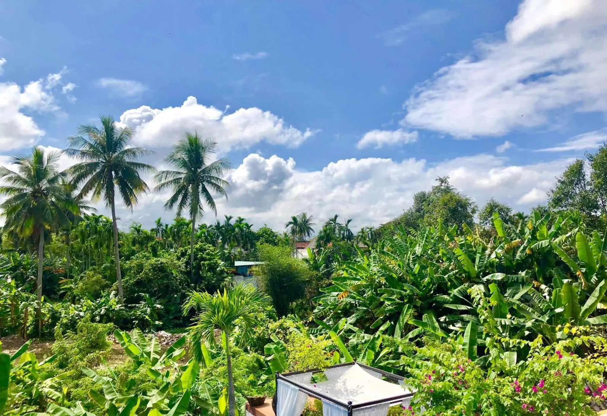 VIP Garden Villa and Pool Hội an ,