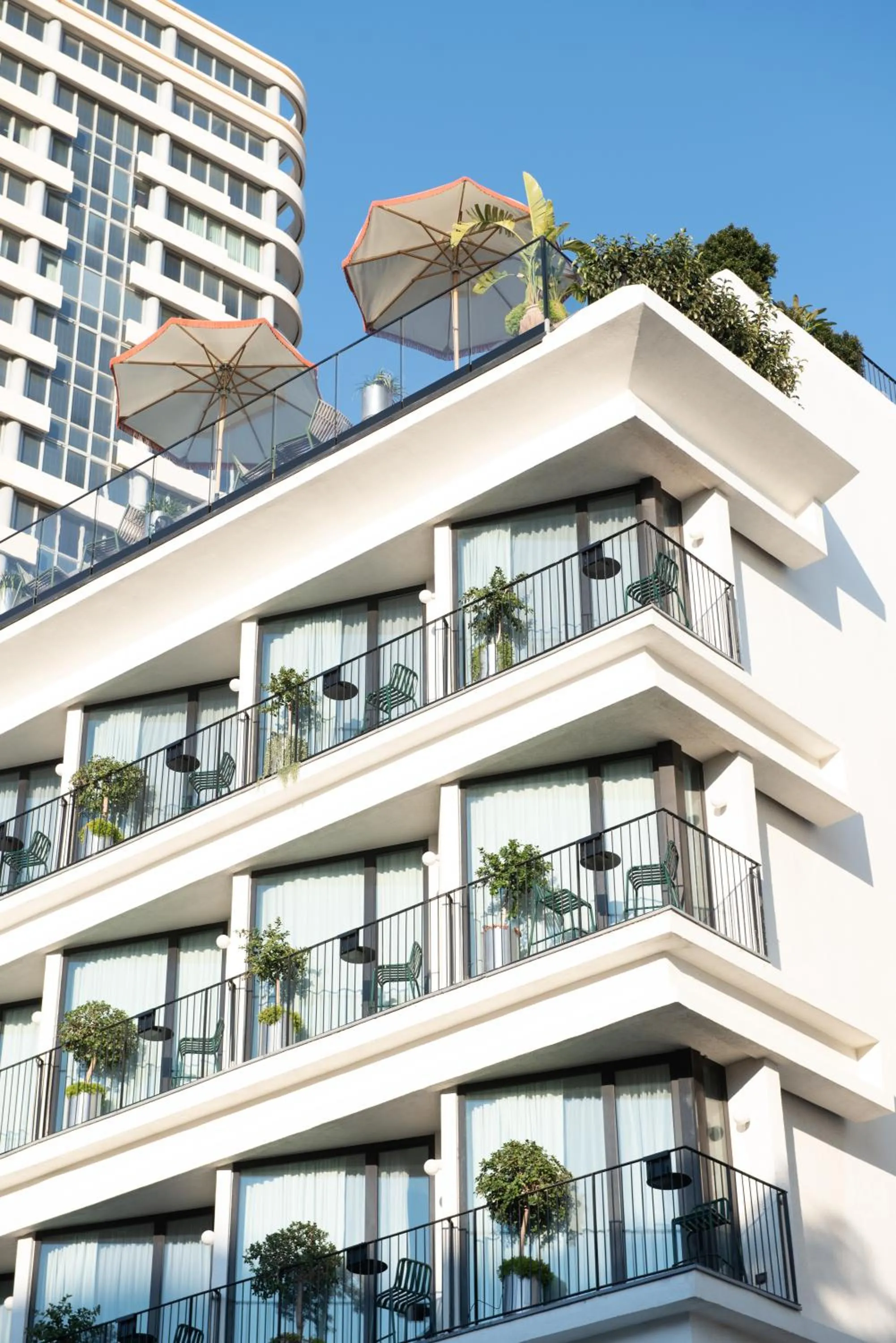 Property building in Mayer House