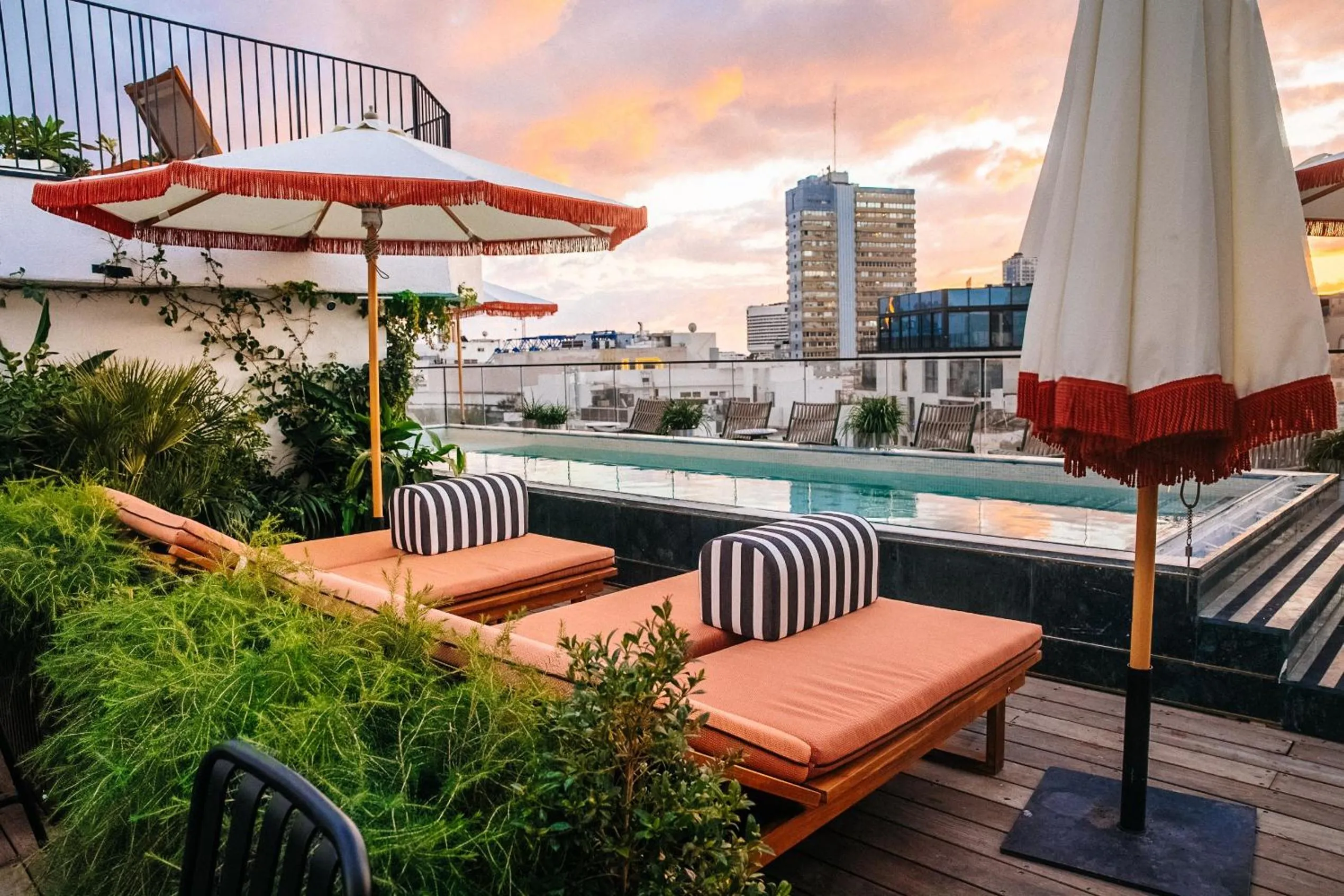 Balcony/Terrace in Mayer House