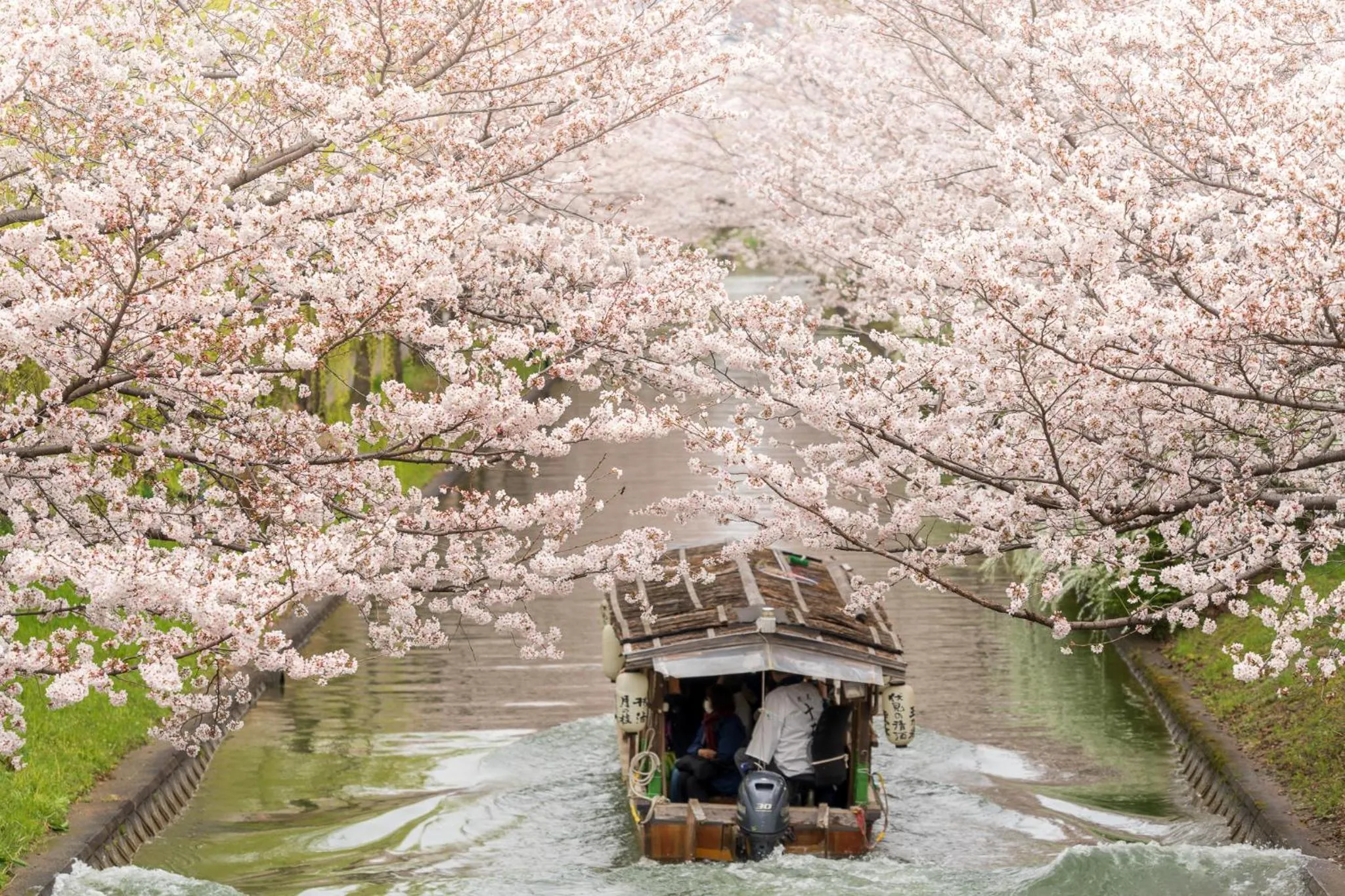 Nearby landmark in MIMARU SUITES Kyoto Shijo