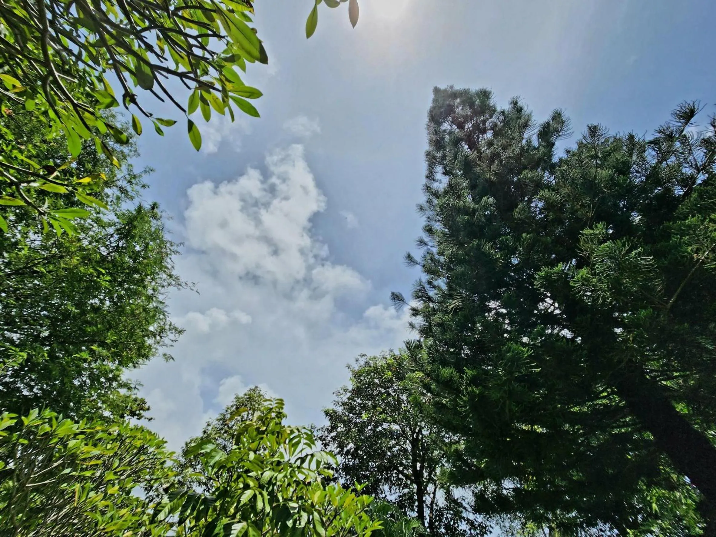 Garden view in Kata Garden Resort SHA Extra Plus