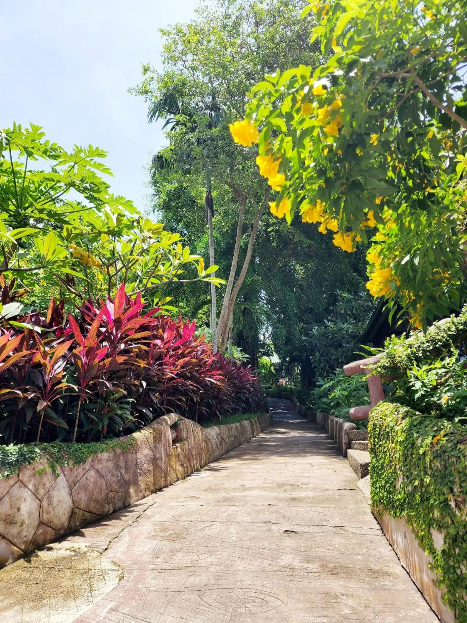 Garden view in Kata Garden Resort SHA Extra Plus