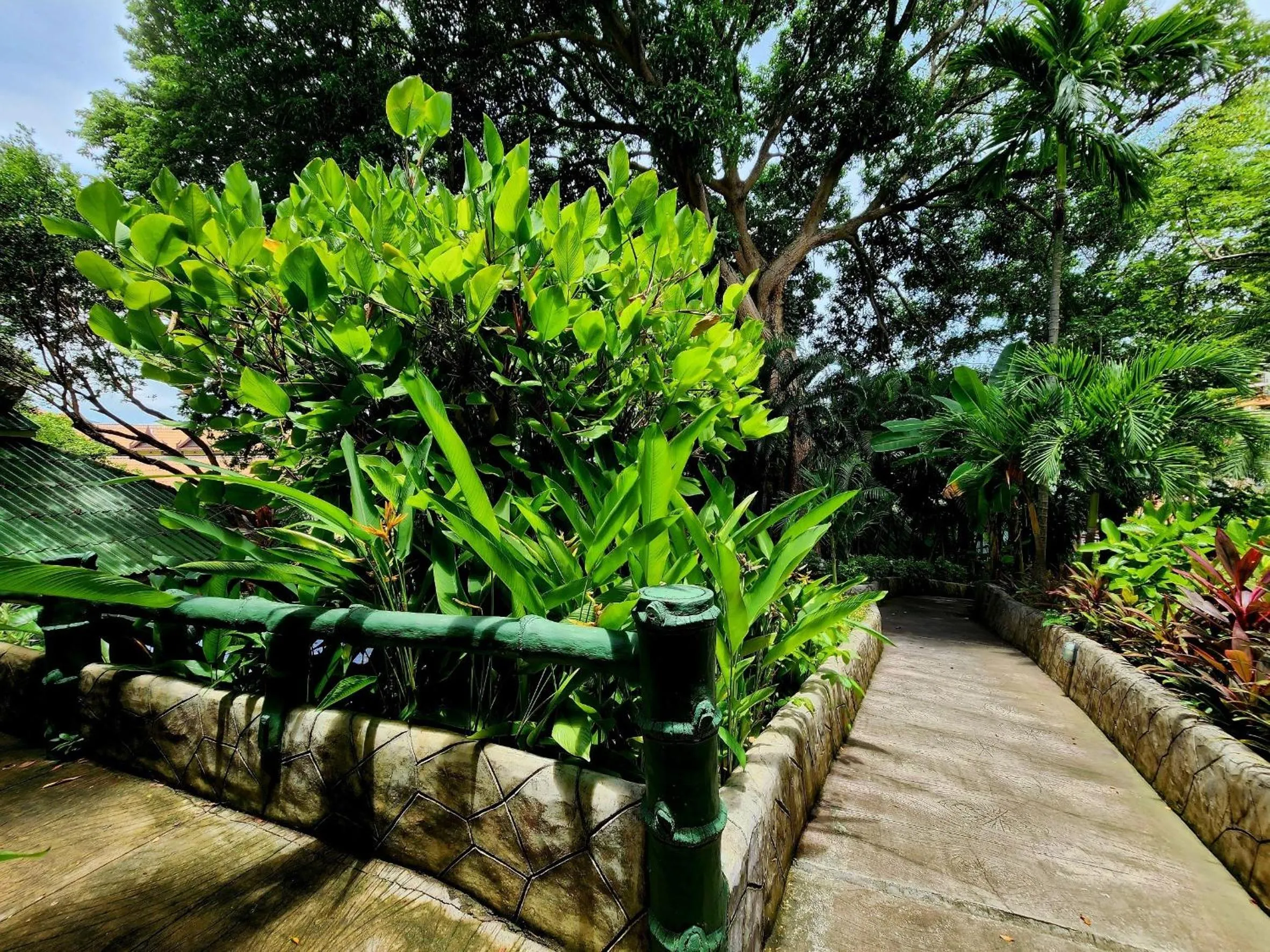 Area and facilities in Kata Garden Resort SHA Extra Plus