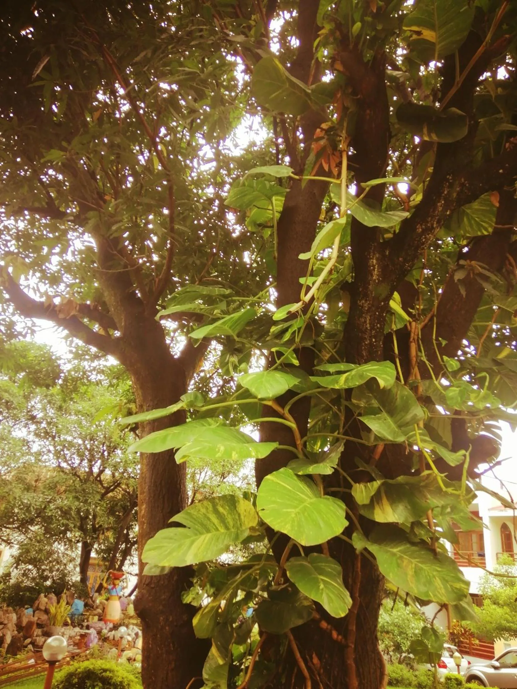 Day in Ganga Vatika Boutique Hotel, Rishikesh