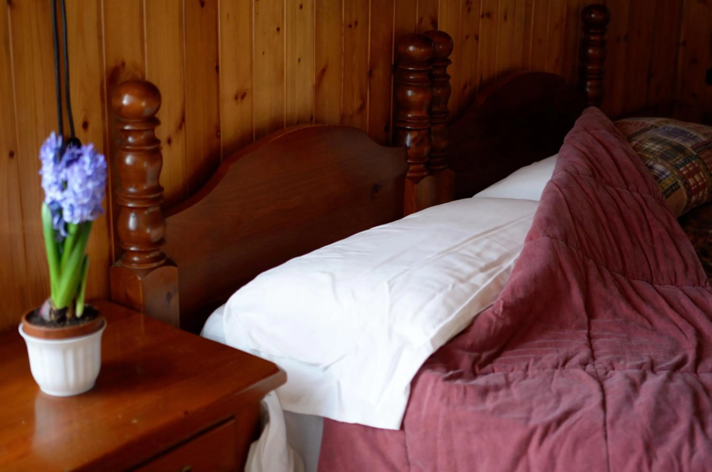 Bed in Albergo Mirella