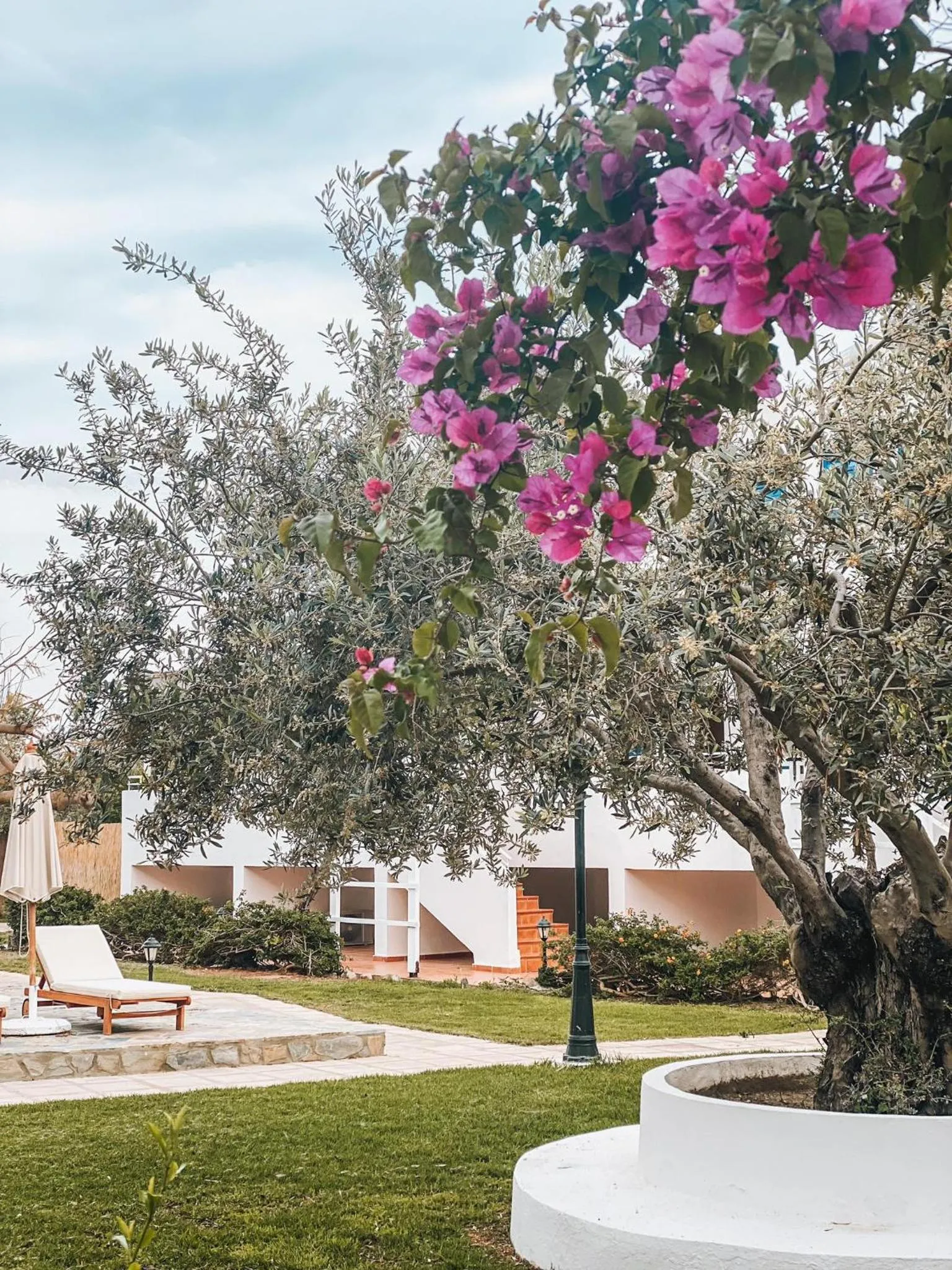 Garden in Lindos Athena