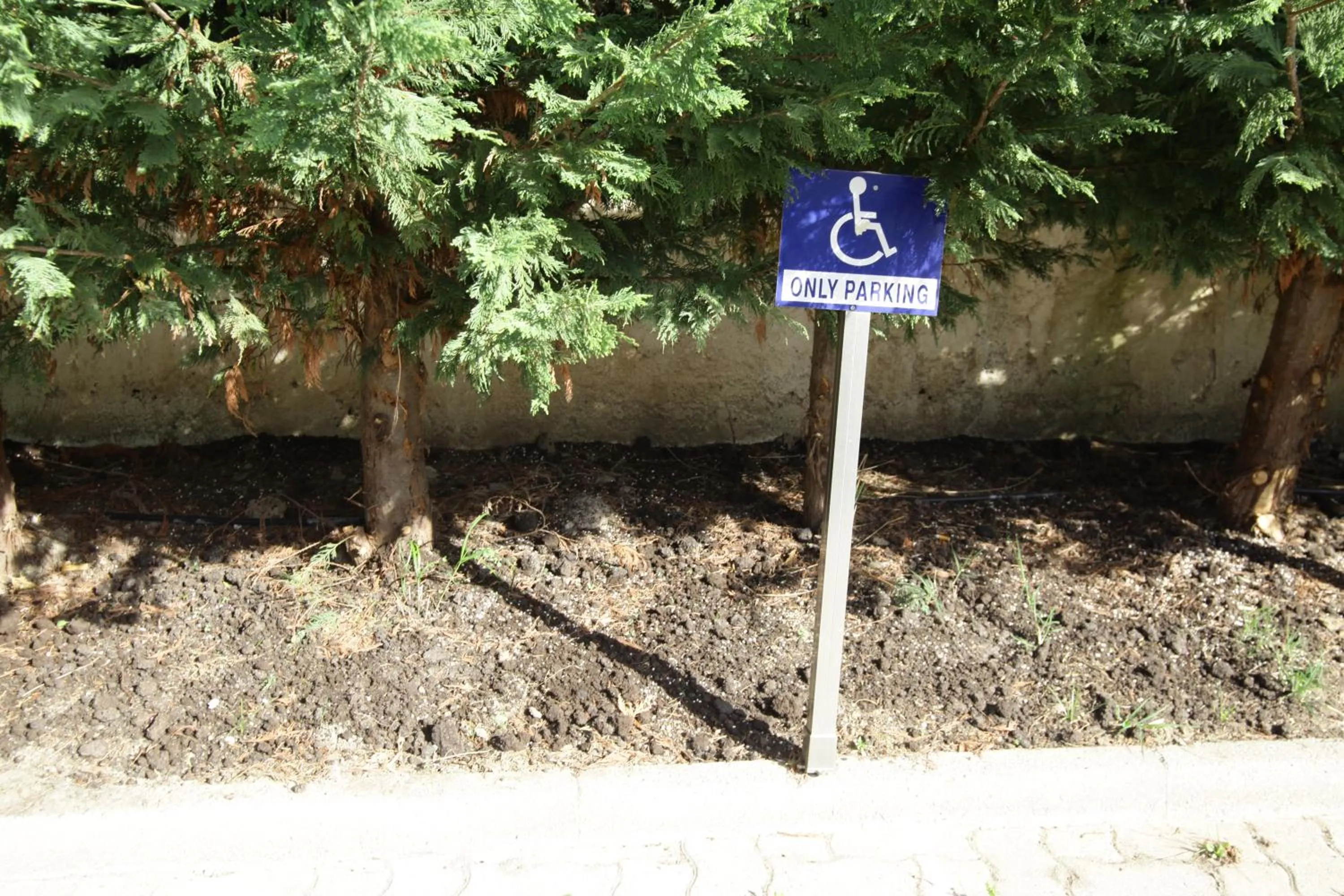 Area and facilities in Cavos Fokidos