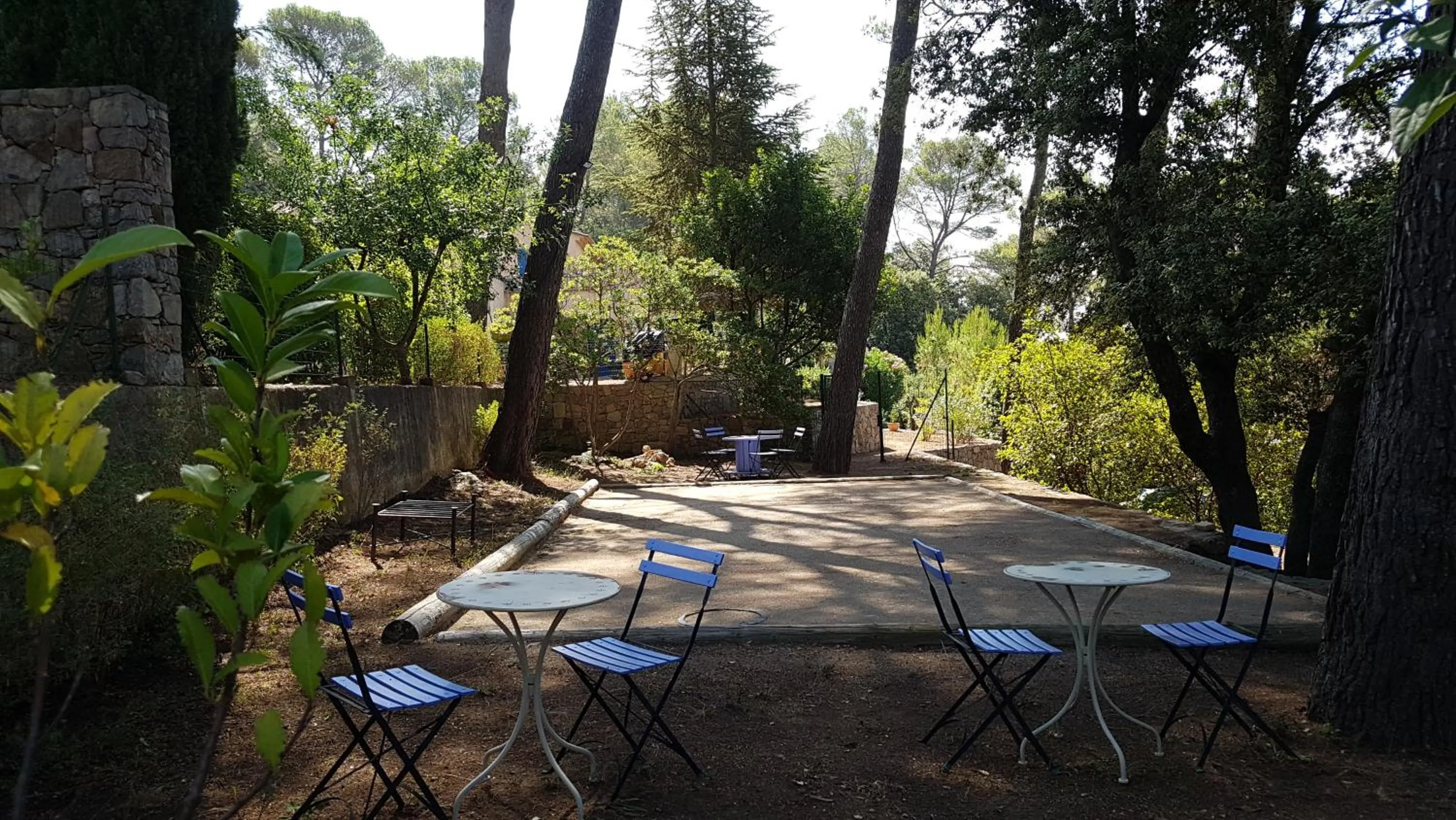 Garden in Le Mas des Hibiscus