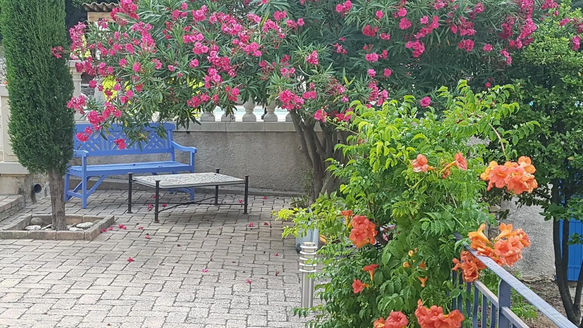 Garden in Le Mas des Hibiscus