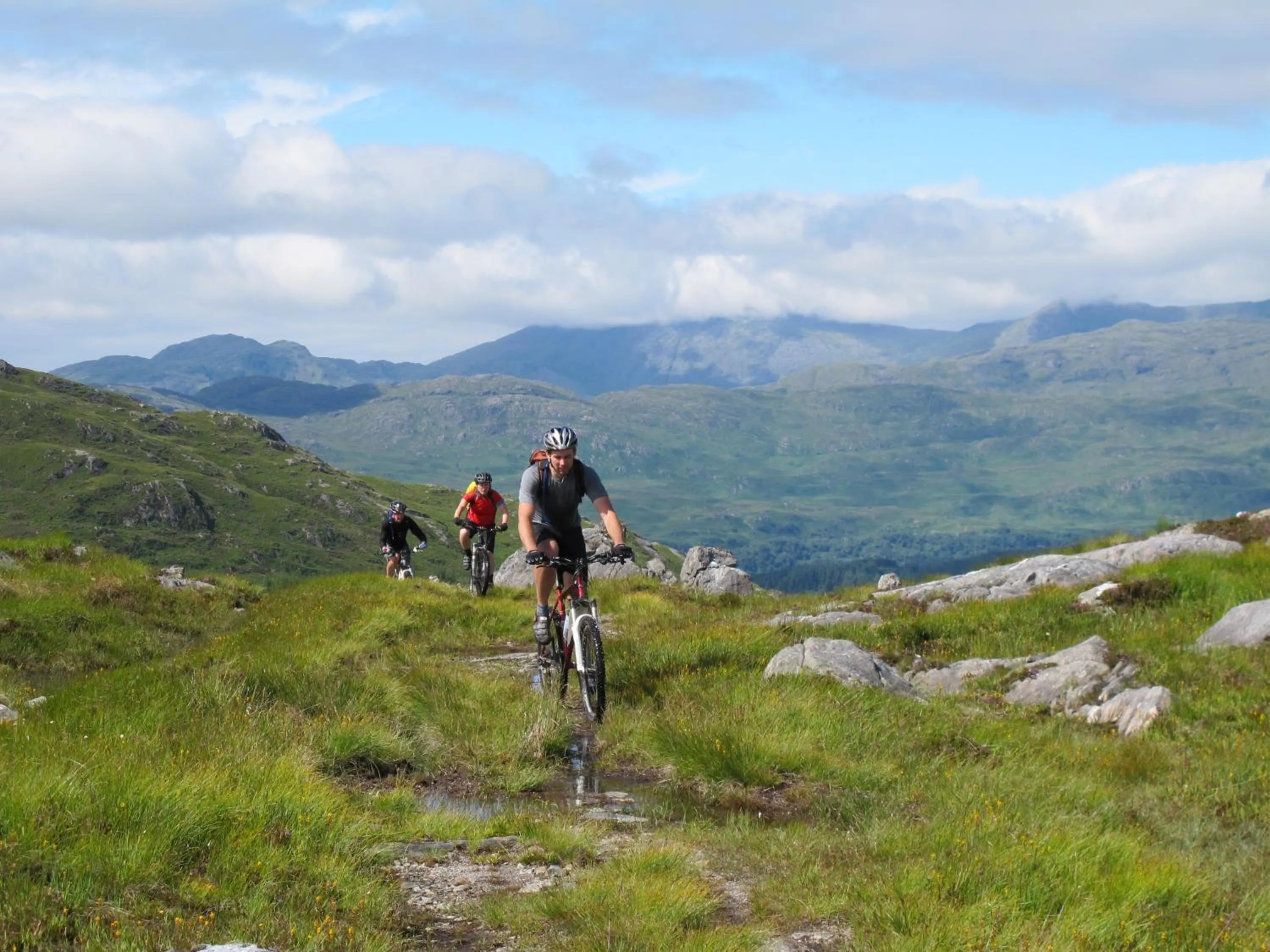 Fishing in Hotel Lily
