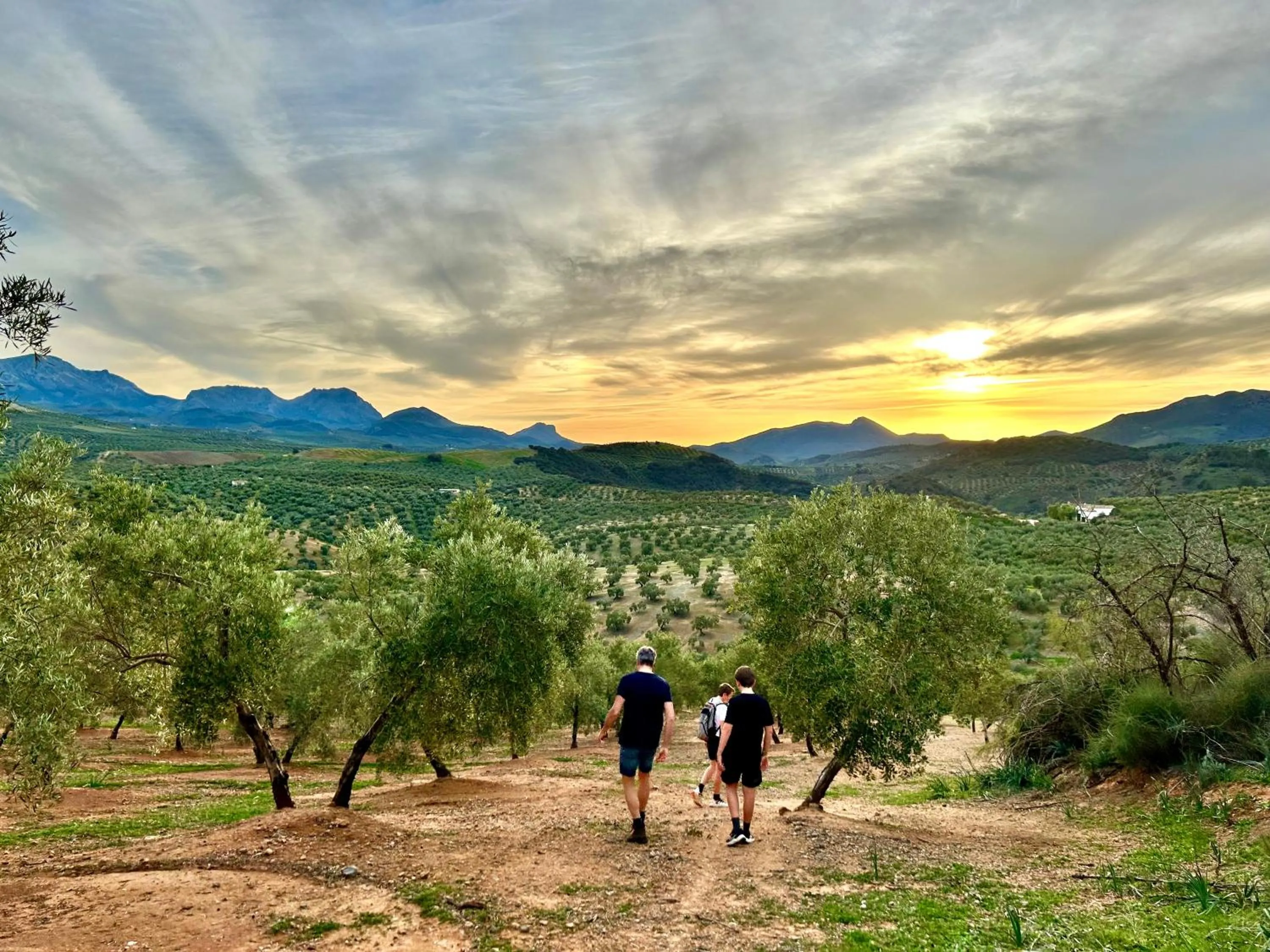 Garden in Hacienda el Tarajal