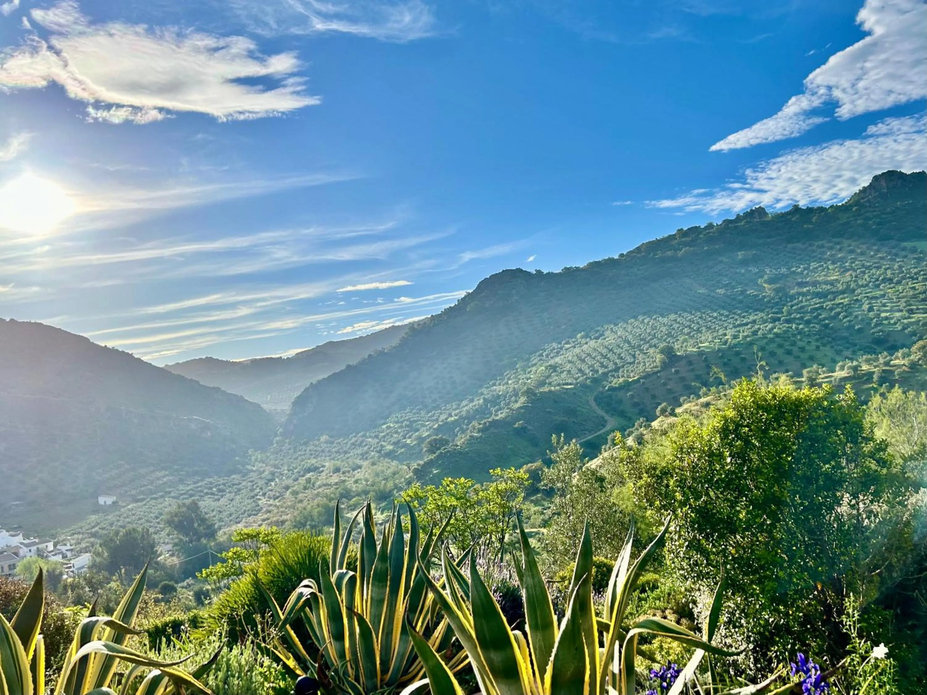 Day in Hacienda el Tarajal