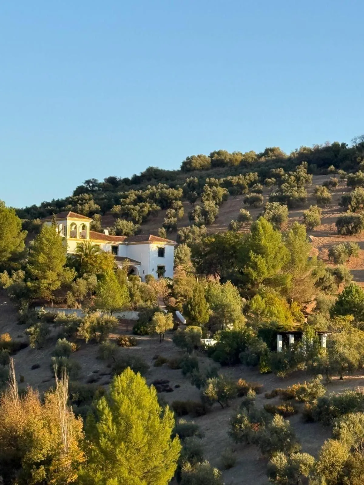 Hacienda el Tarajal