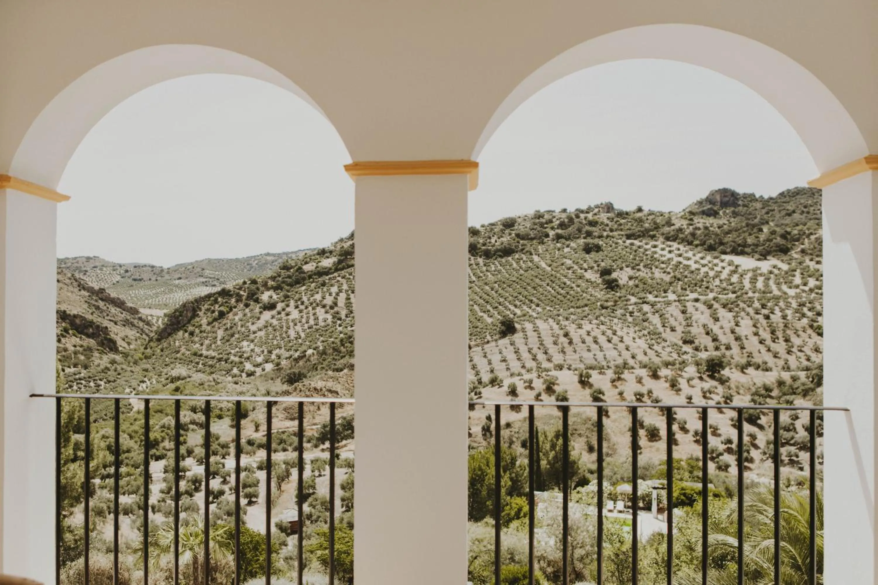 View (from property/room) in Hacienda el Tarajal