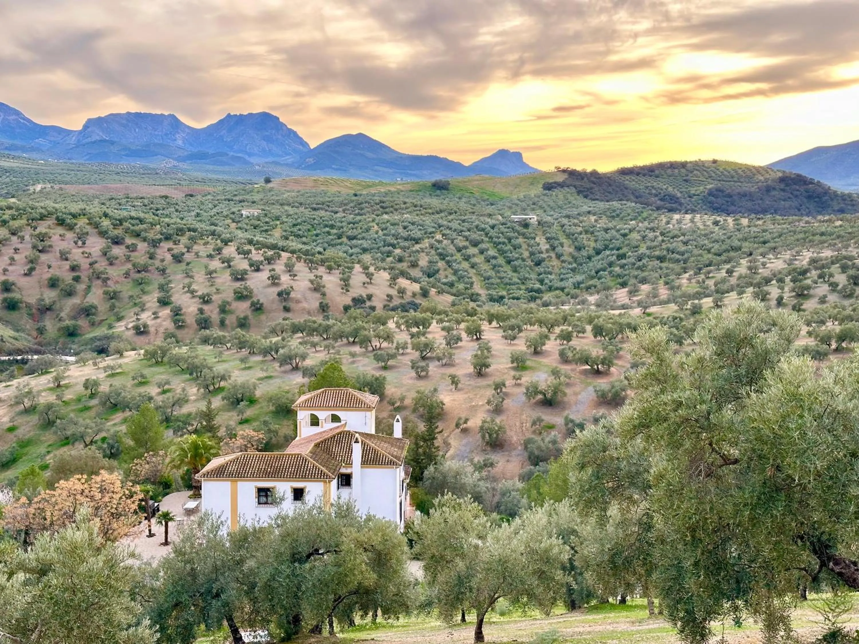 Property building in Hacienda el Tarajal