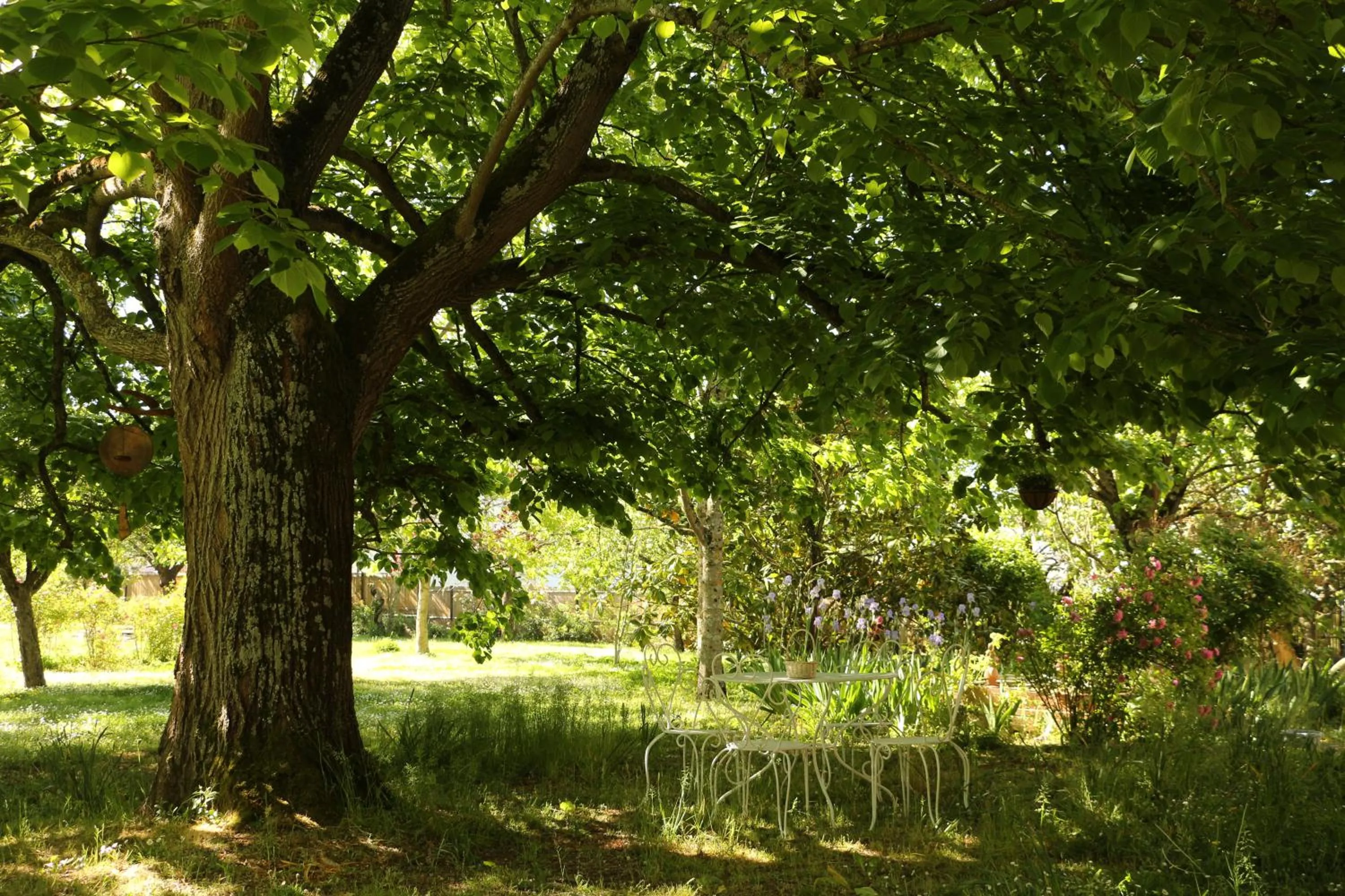 Garden in La Closerie de l'Autan