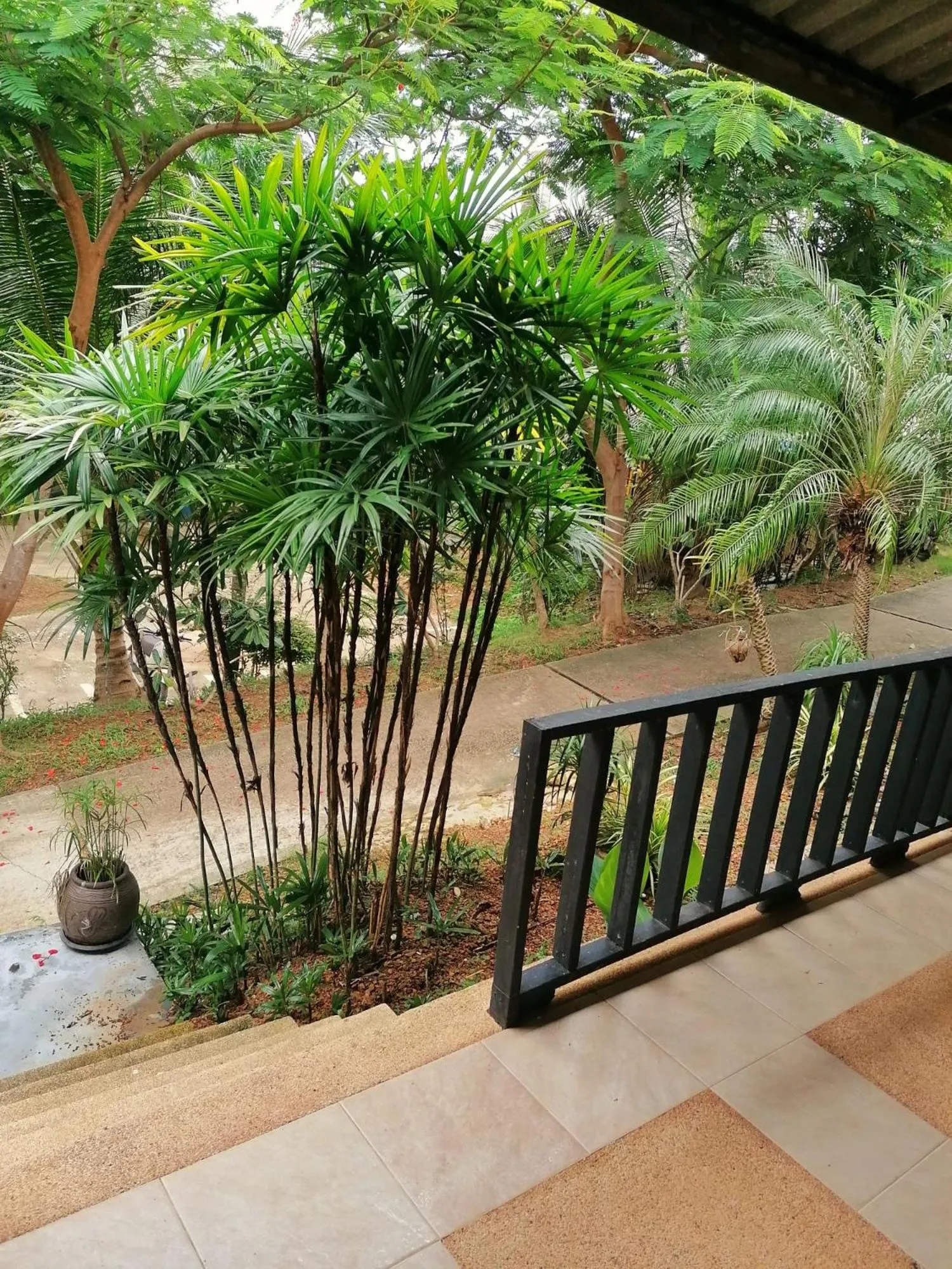 View (from property/room) in Lanta Sport Resort