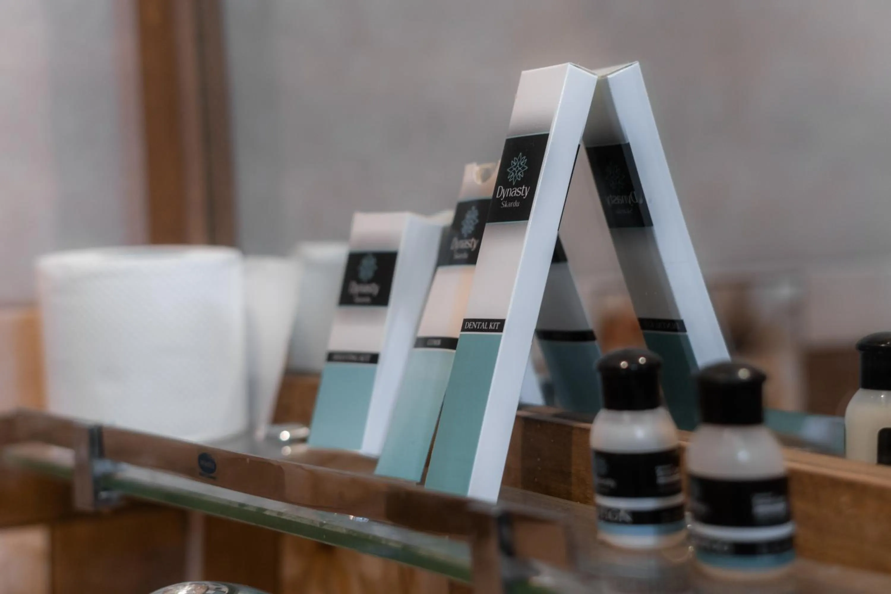 Bathroom in Dynasty Hotel Skardu