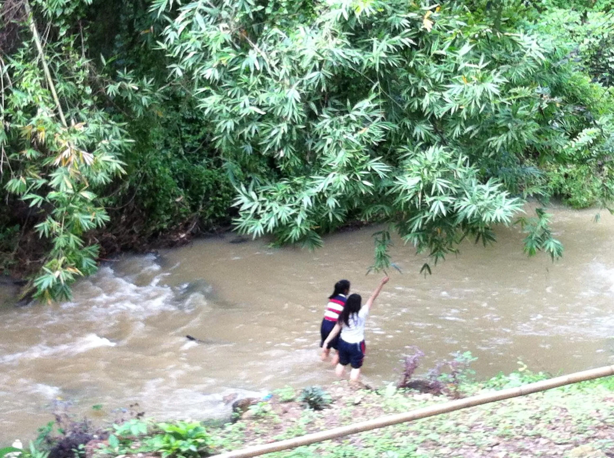 Natural landscape in Papai Country Lodge SHA