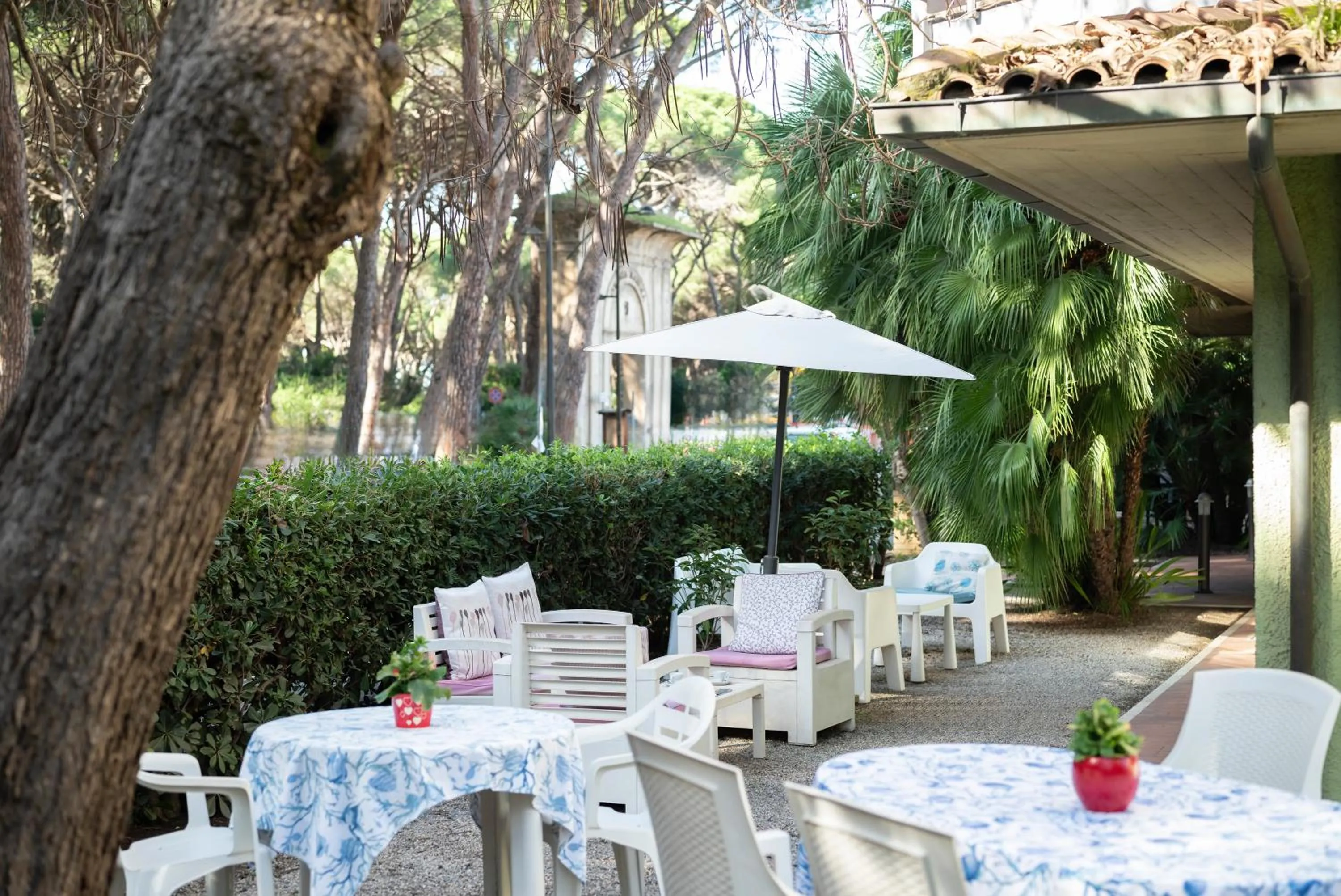 Patio in Hotel Parco dei Pini - 100mt dal Mare