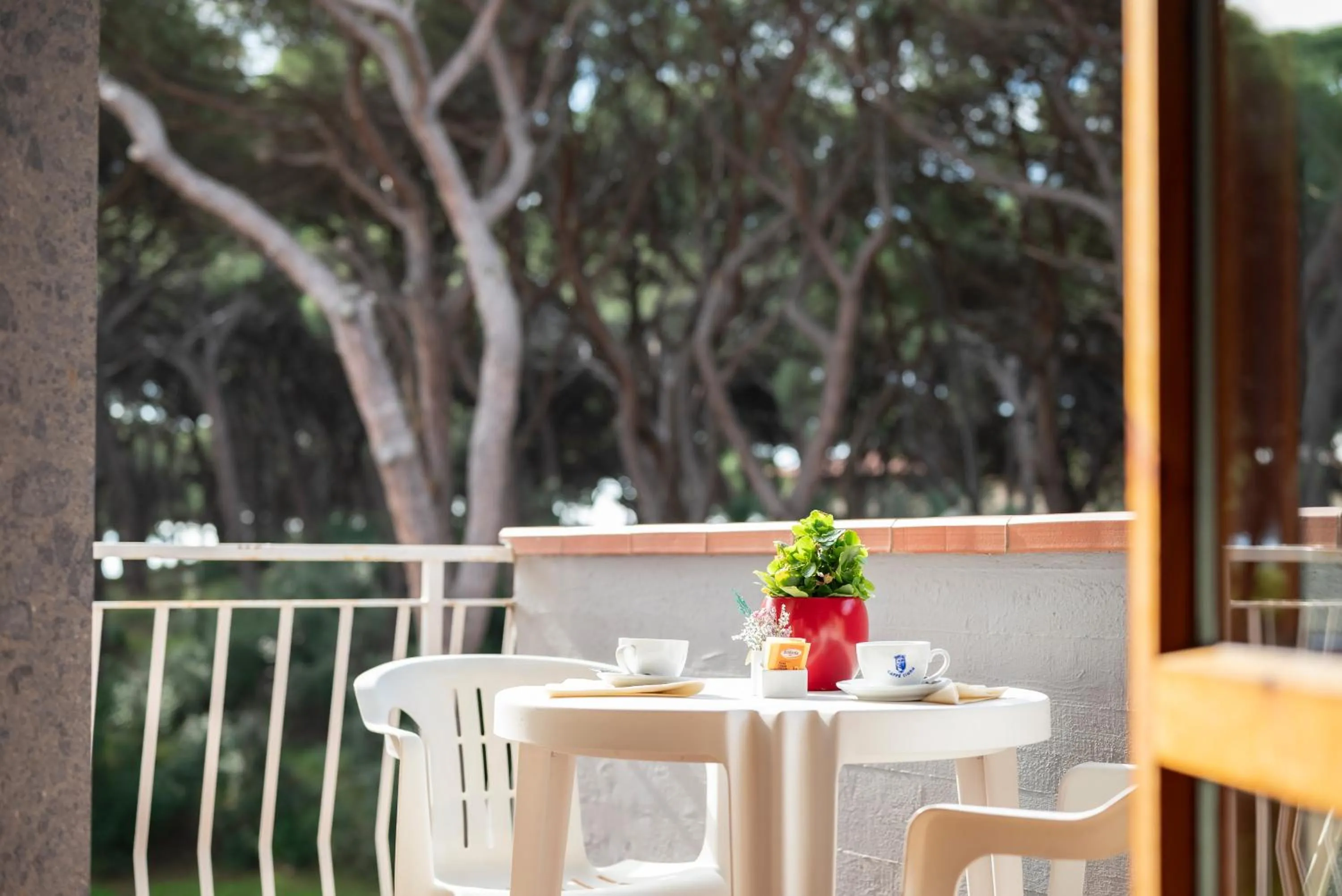 Patio in Hotel Parco dei Pini - 100mt dal Mare
