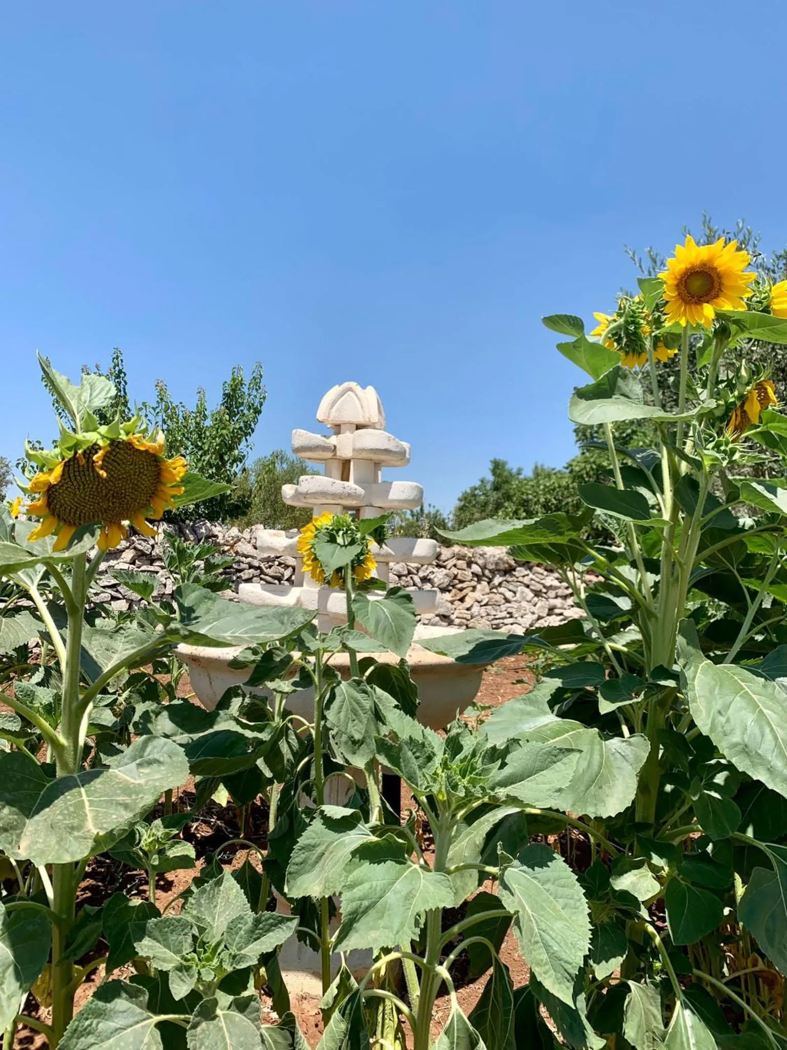 Tenuta Tinelli Sonia