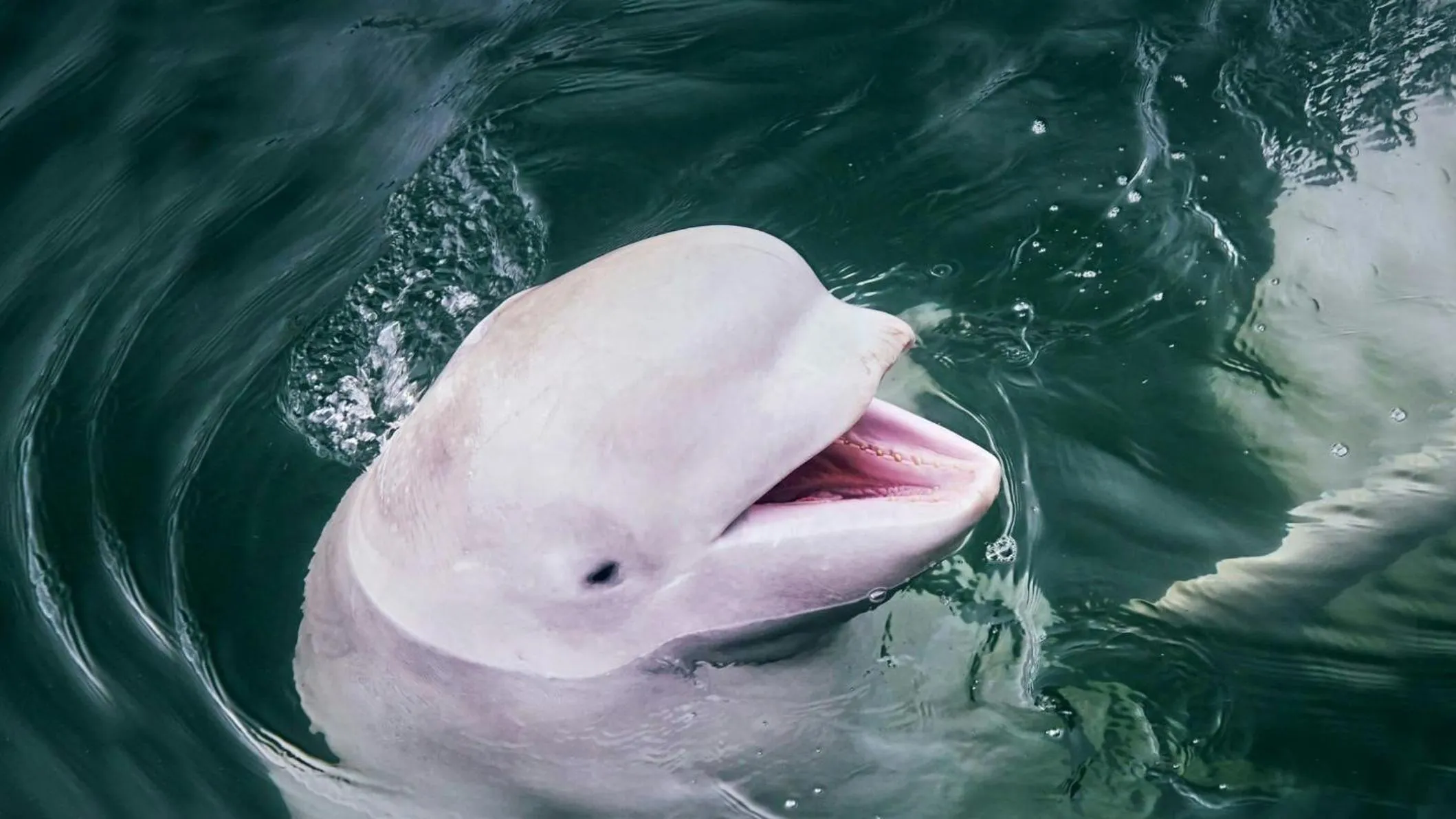 Nearby landmark in The New Post Office