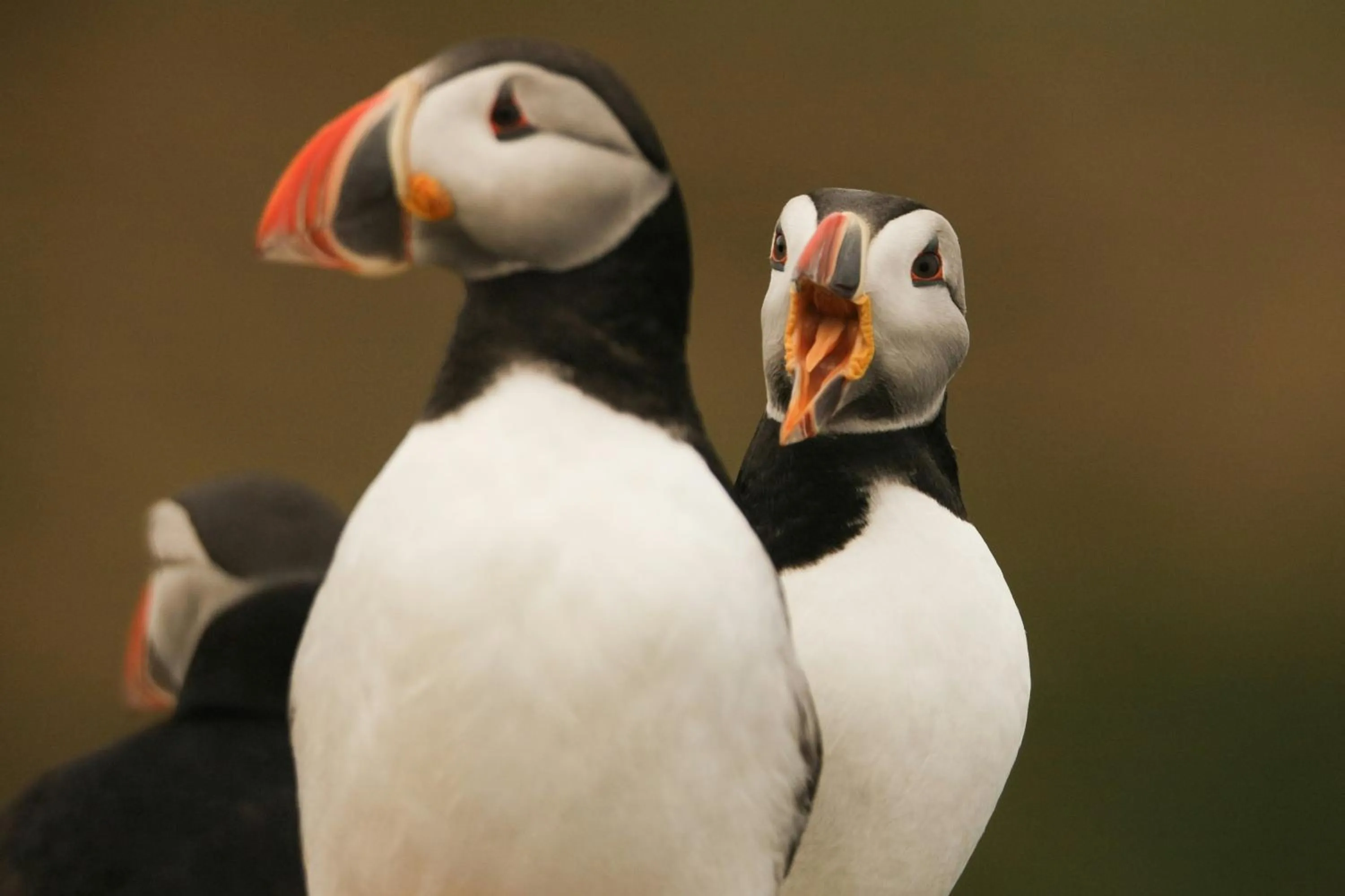 Nearby landmark in The New Post Office