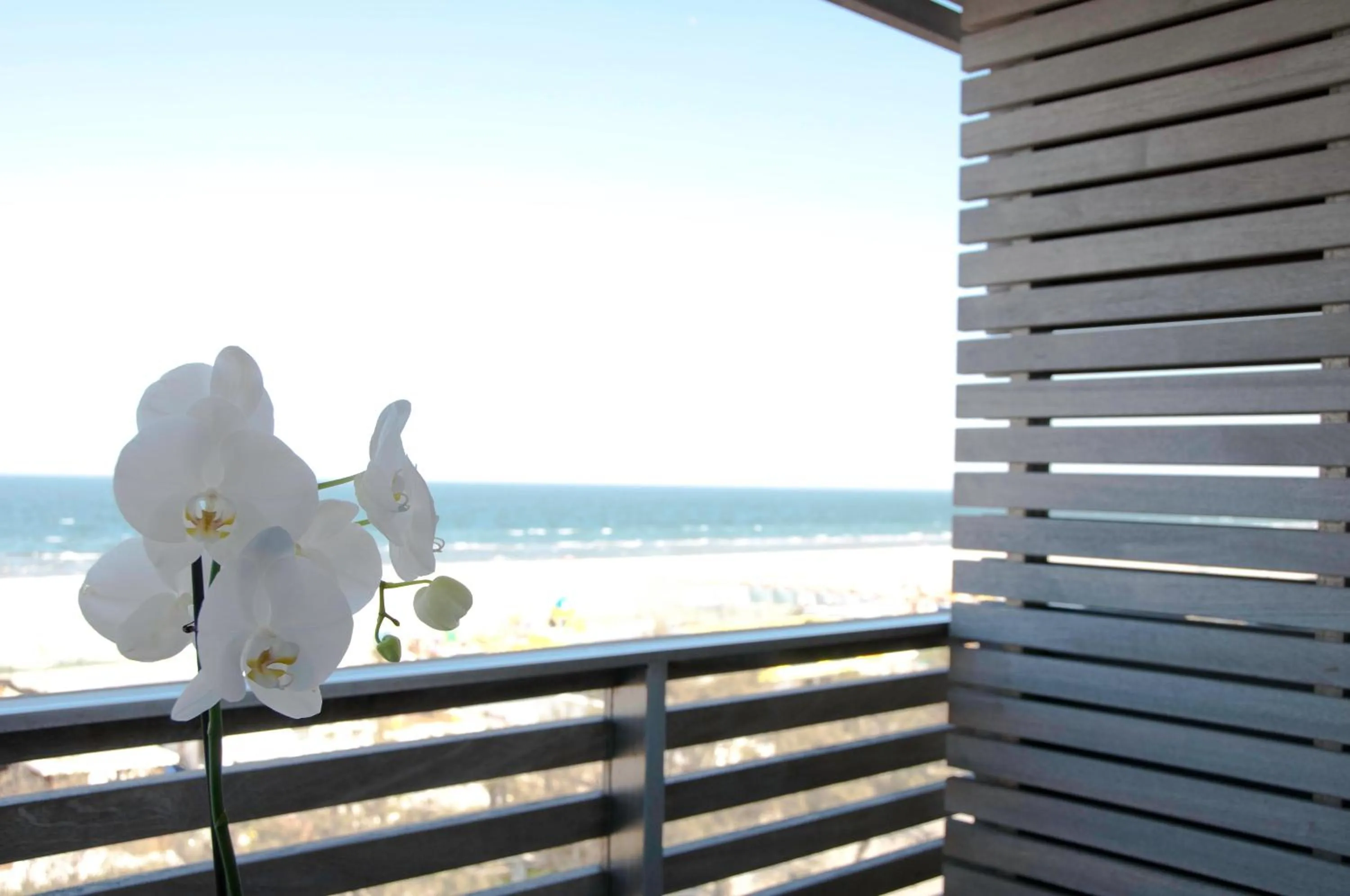 View (from property/room) in Kiss Beachfront Hotel & Restaurant