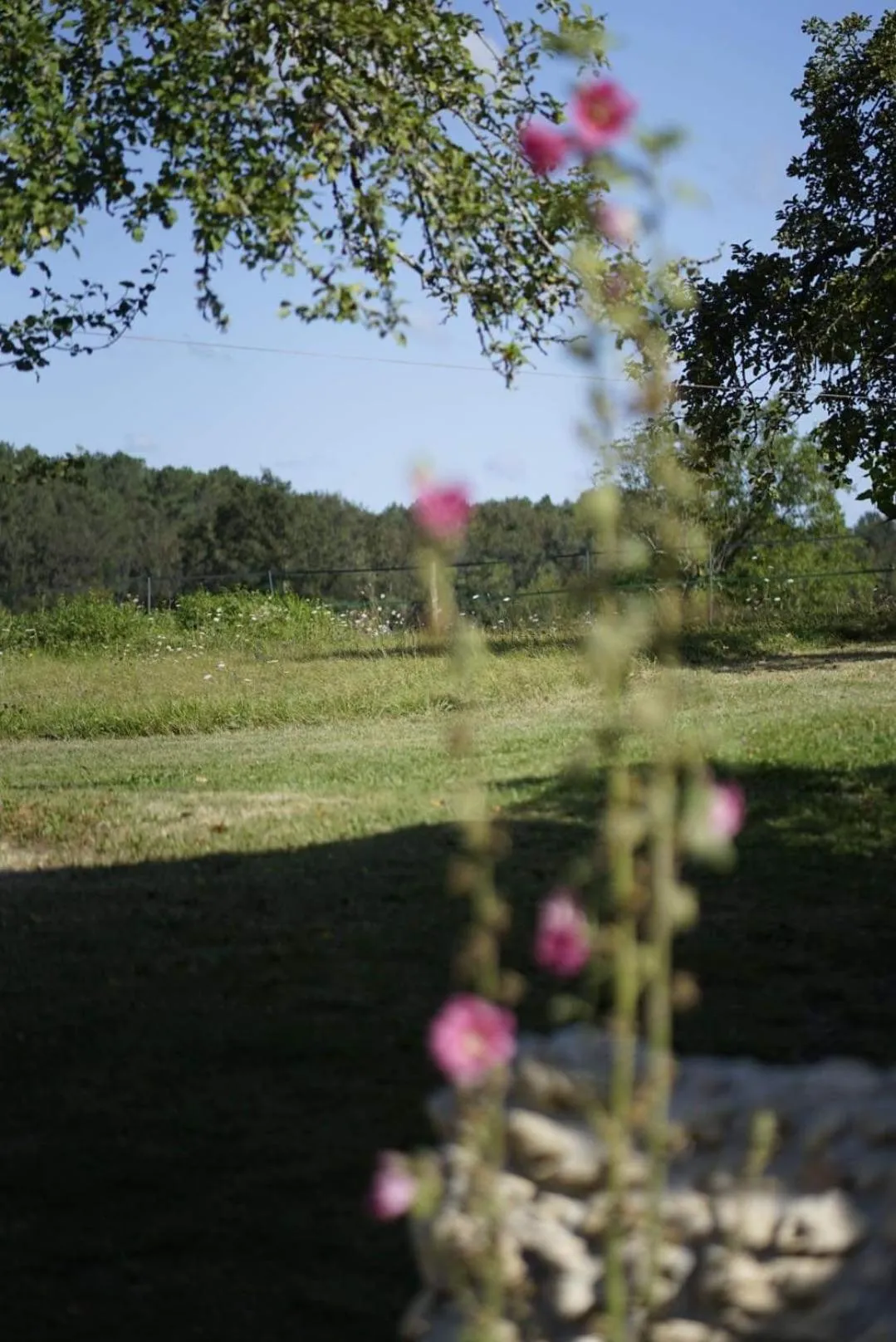 Spring in MaBelle rêve B&B