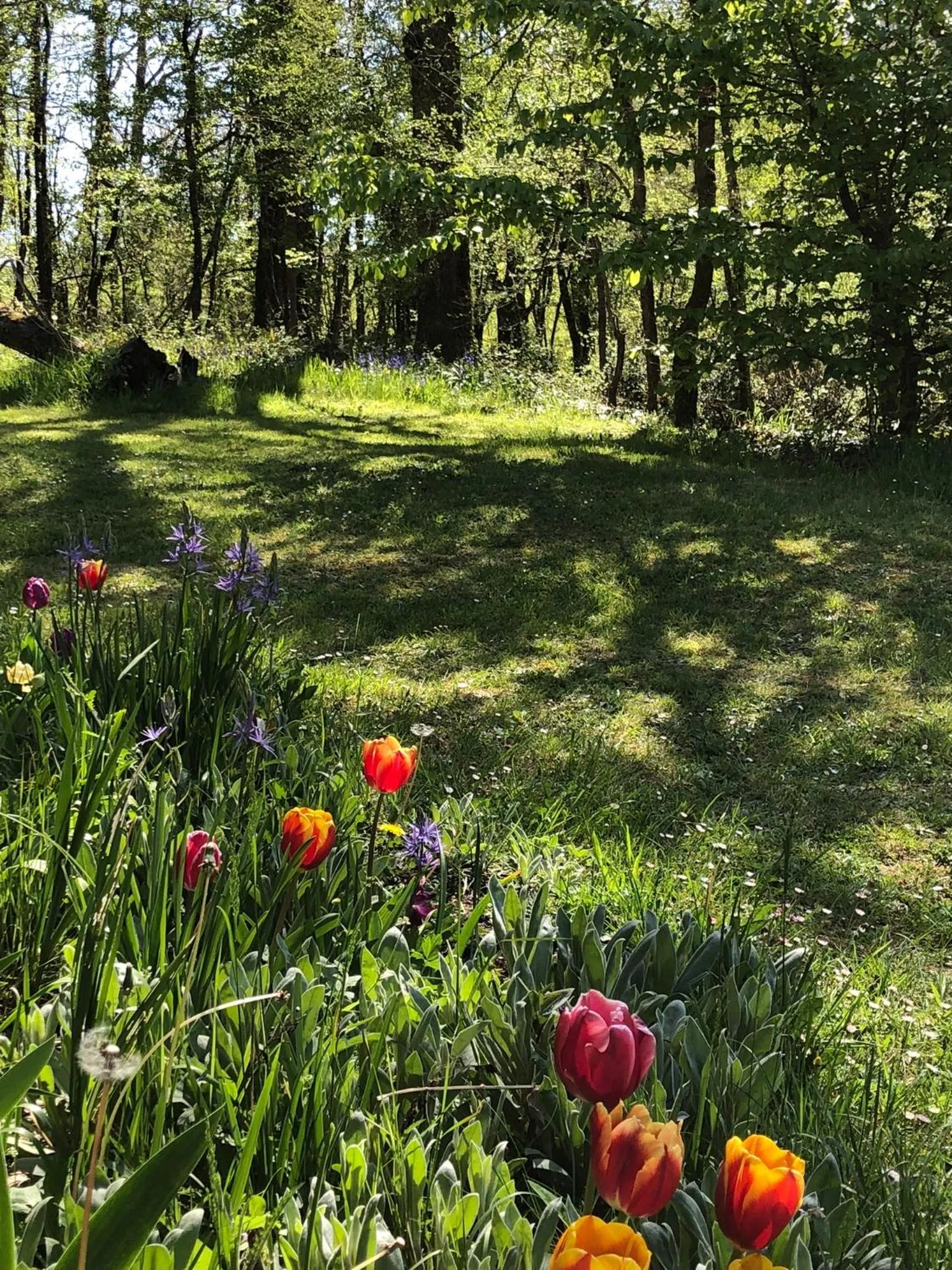 Natural landscape in MaBelle rêve B&B