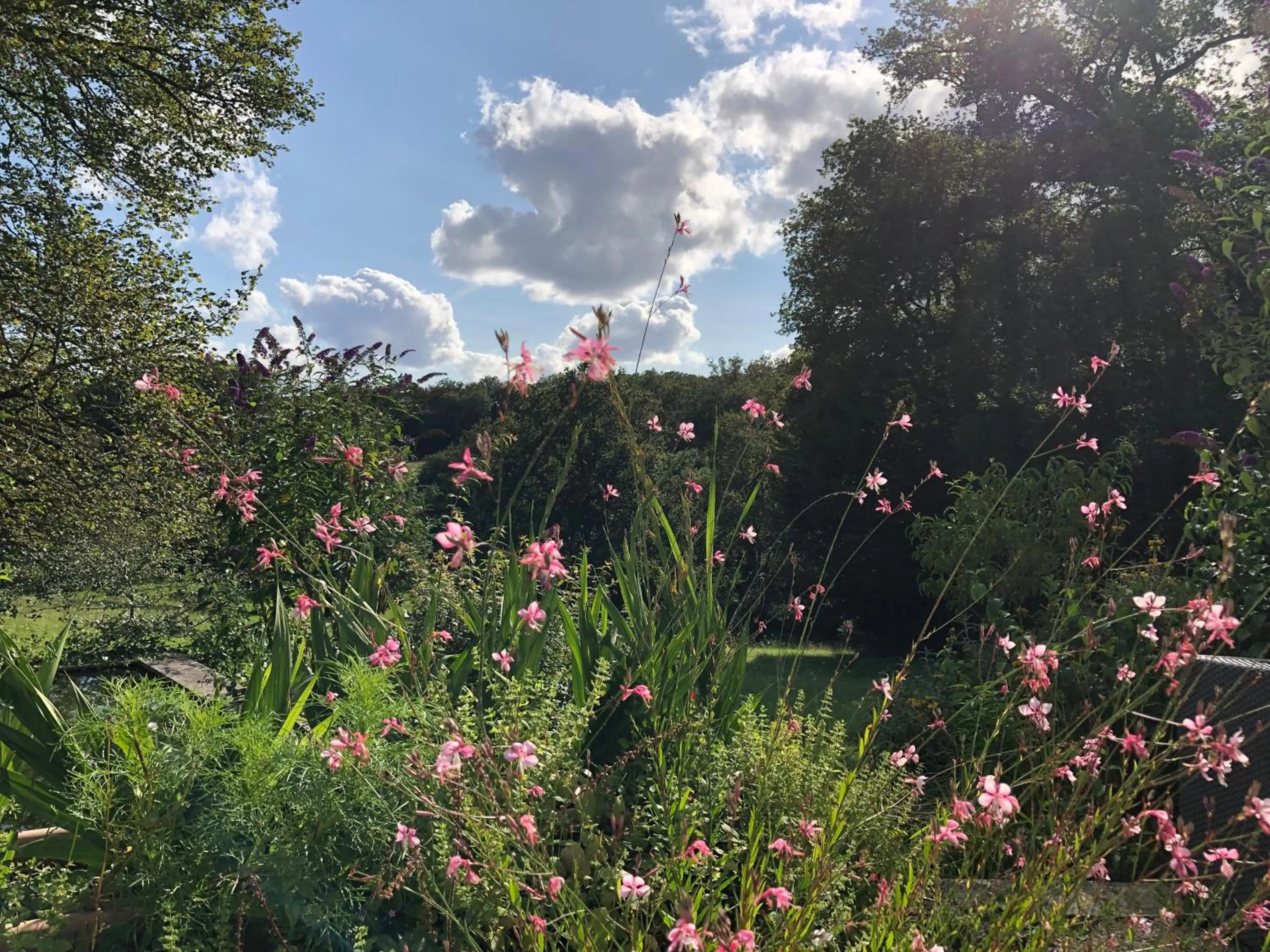 Spring in MaBelle rêve B&B